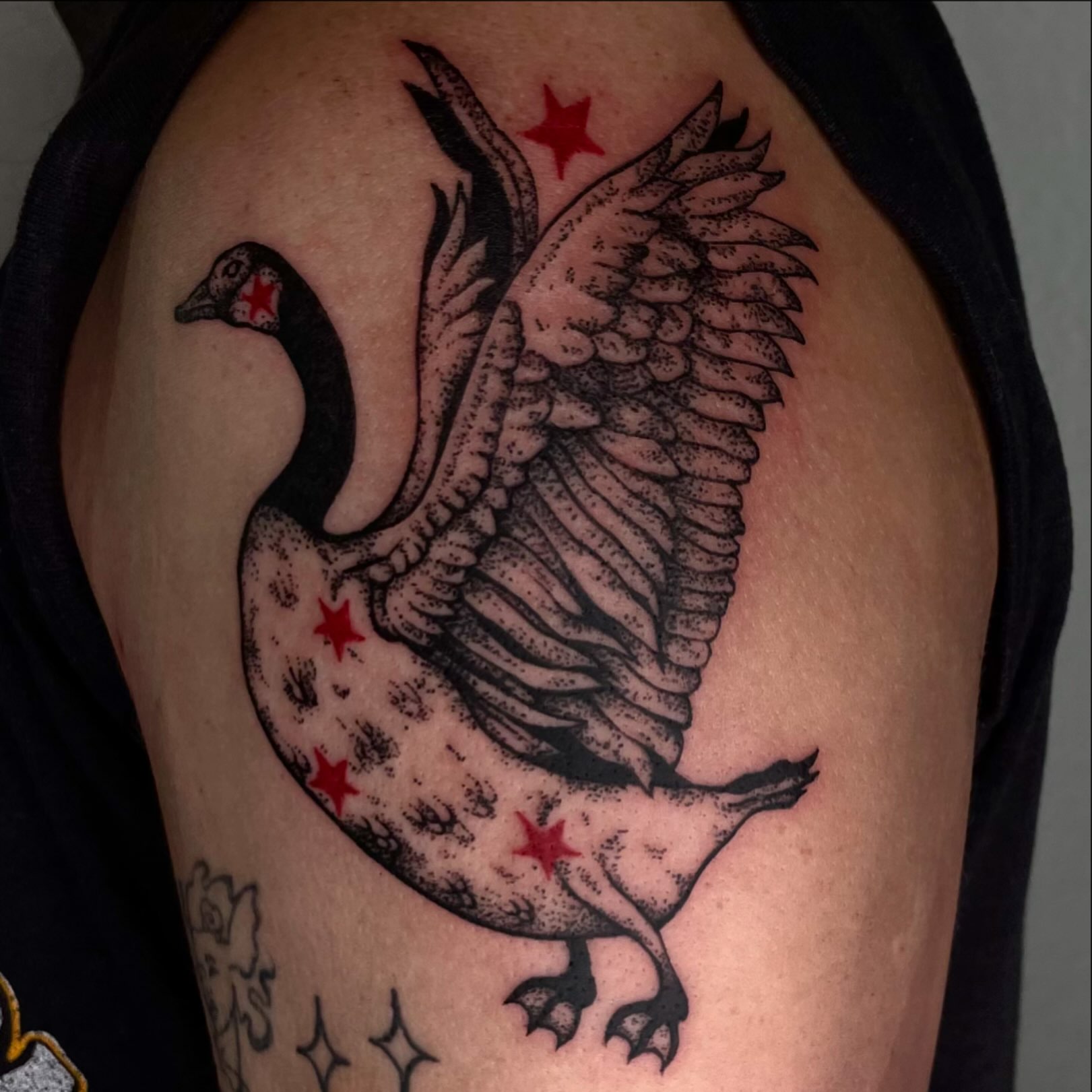 Goose dotwork tattoo on the shoulder by sara ‧⭑𓆝 𓆟 𓆞 𓆝 𓆟 ⭑‧₊
