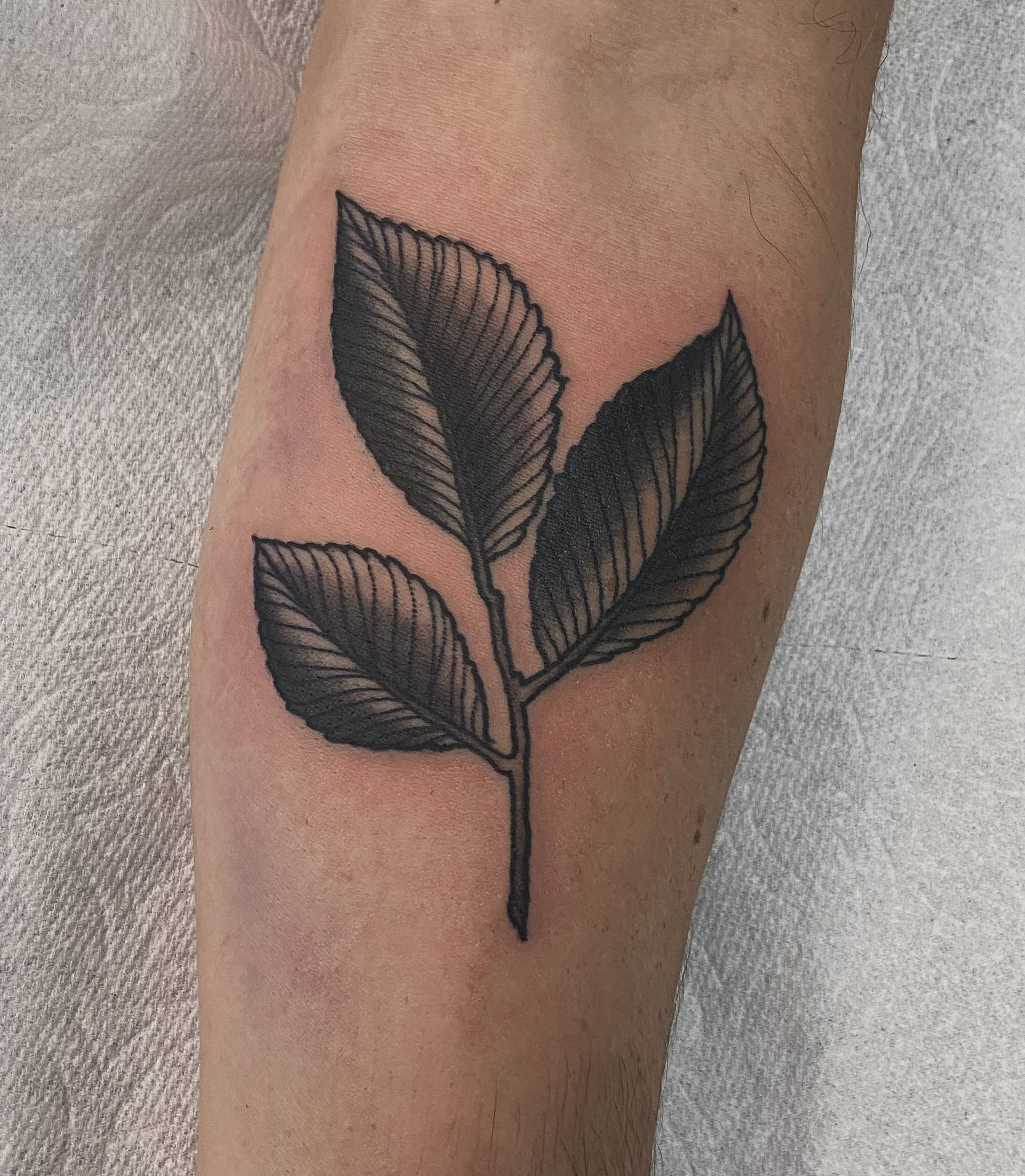 Tattoo by @vinnietatts — black_and_grey