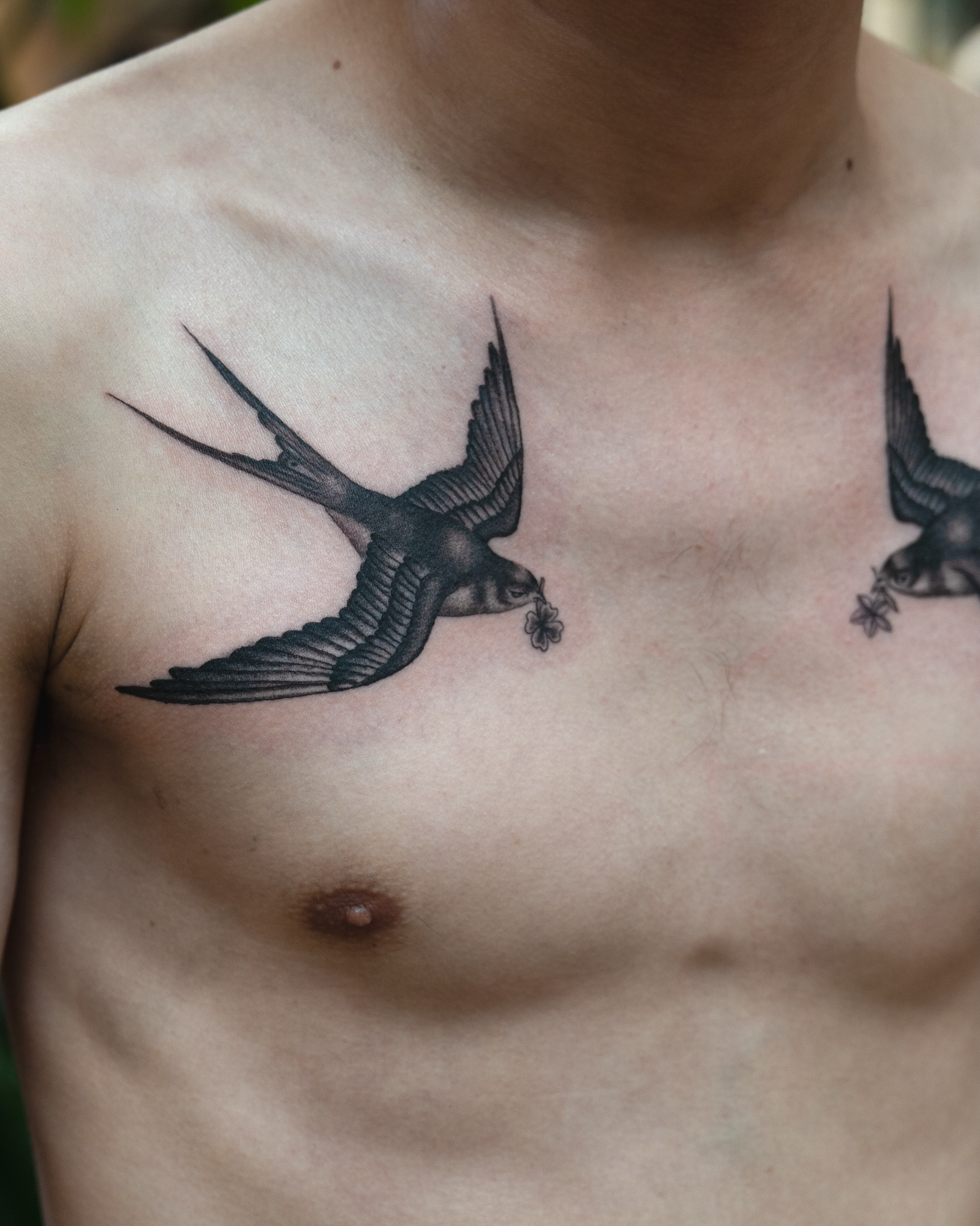 Swallow black and grey tattoo on the chest by James Fernella, San Francisco, California