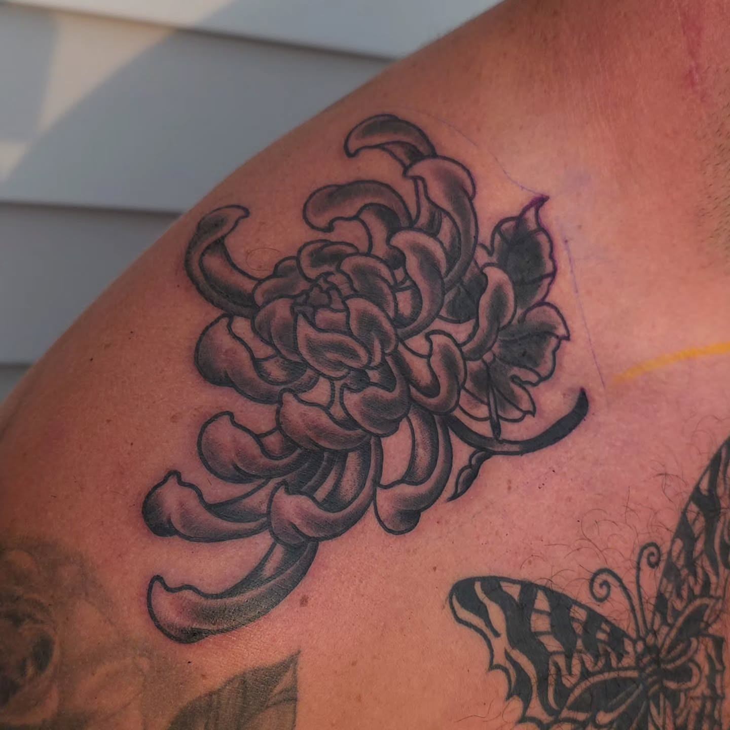Chrysanthemum black and grey tattoo on the shoulder by J. Kirsch New Jersey Tattoo Artist