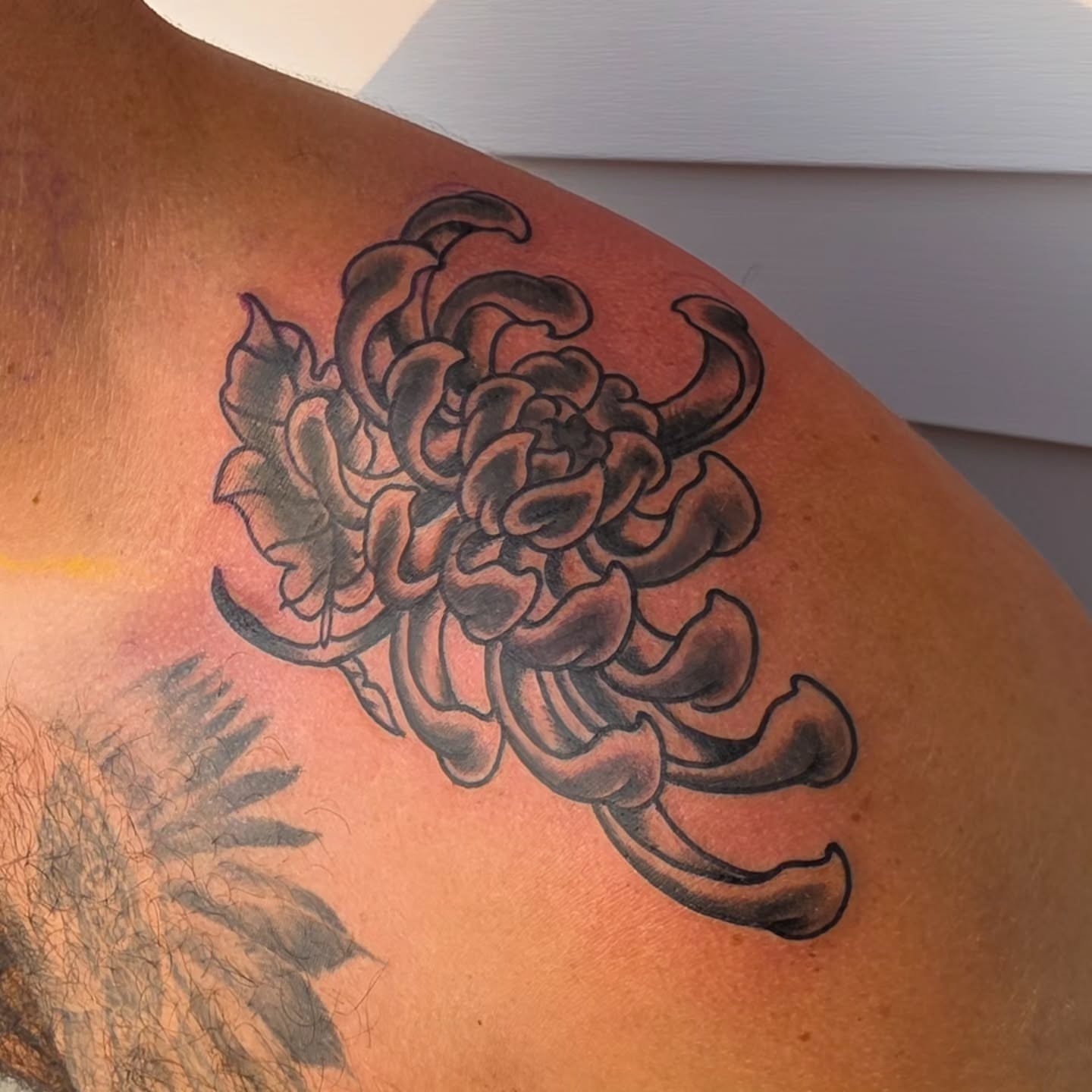 Chrysanthemum black and grey tattoo on the shoulder by J. Kirsch New Jersey Tattoo Artist