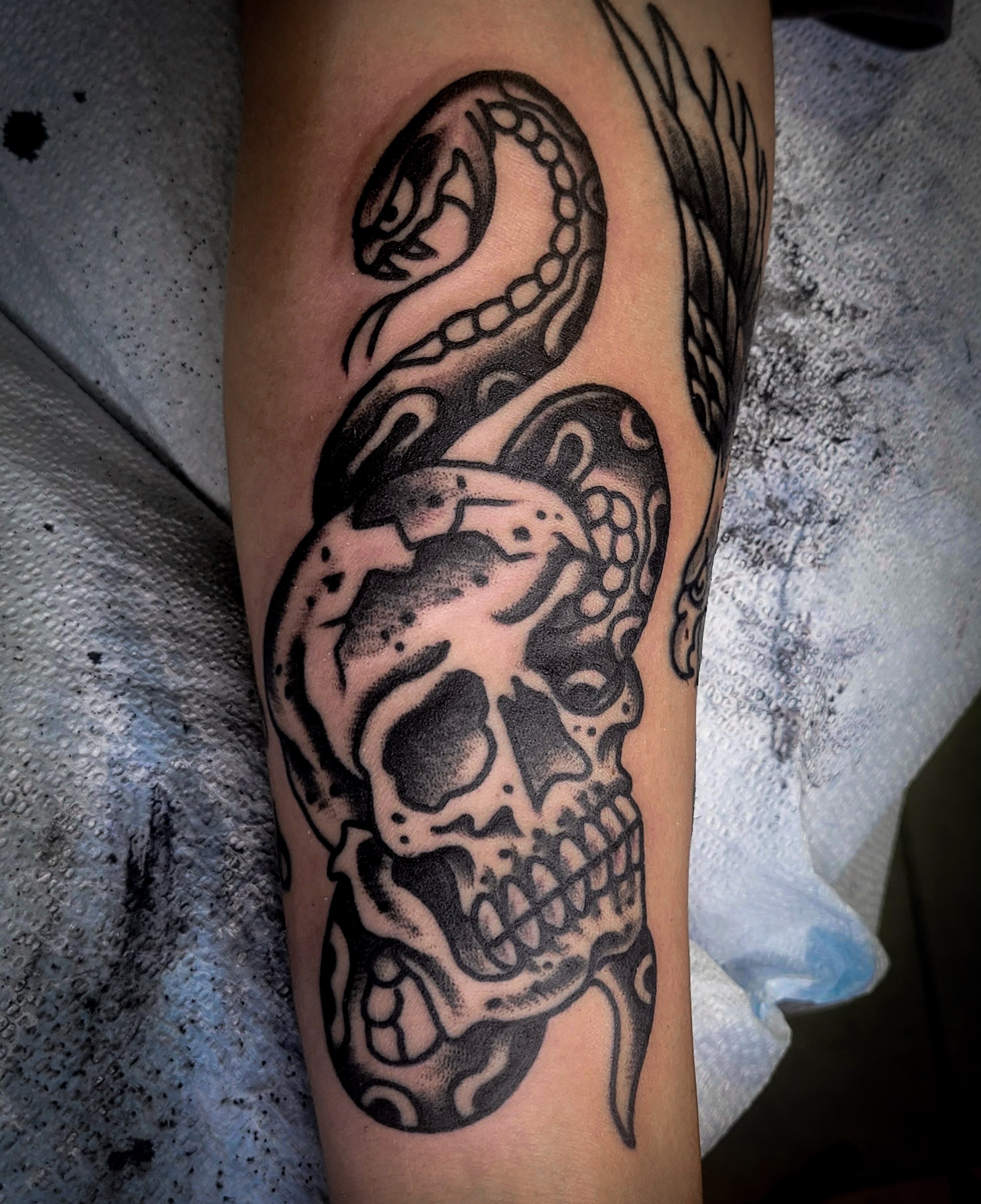 Skull and snake black and grey tattoo on the forearm by joe martinez, Denver, Colorado