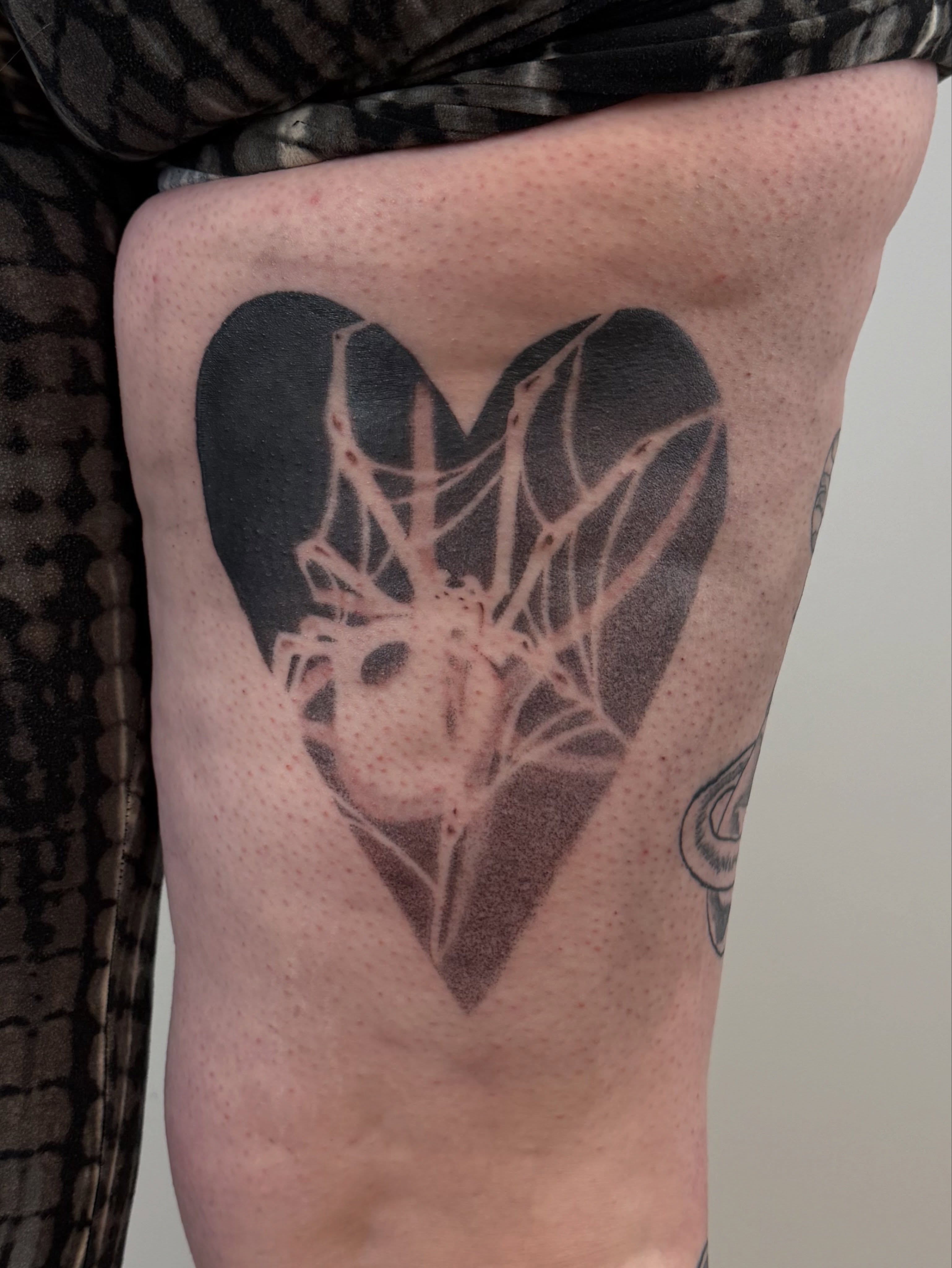 Heart with spider dotwork tattoo on the thigh by Anthony Fondi Maine tattoo artist