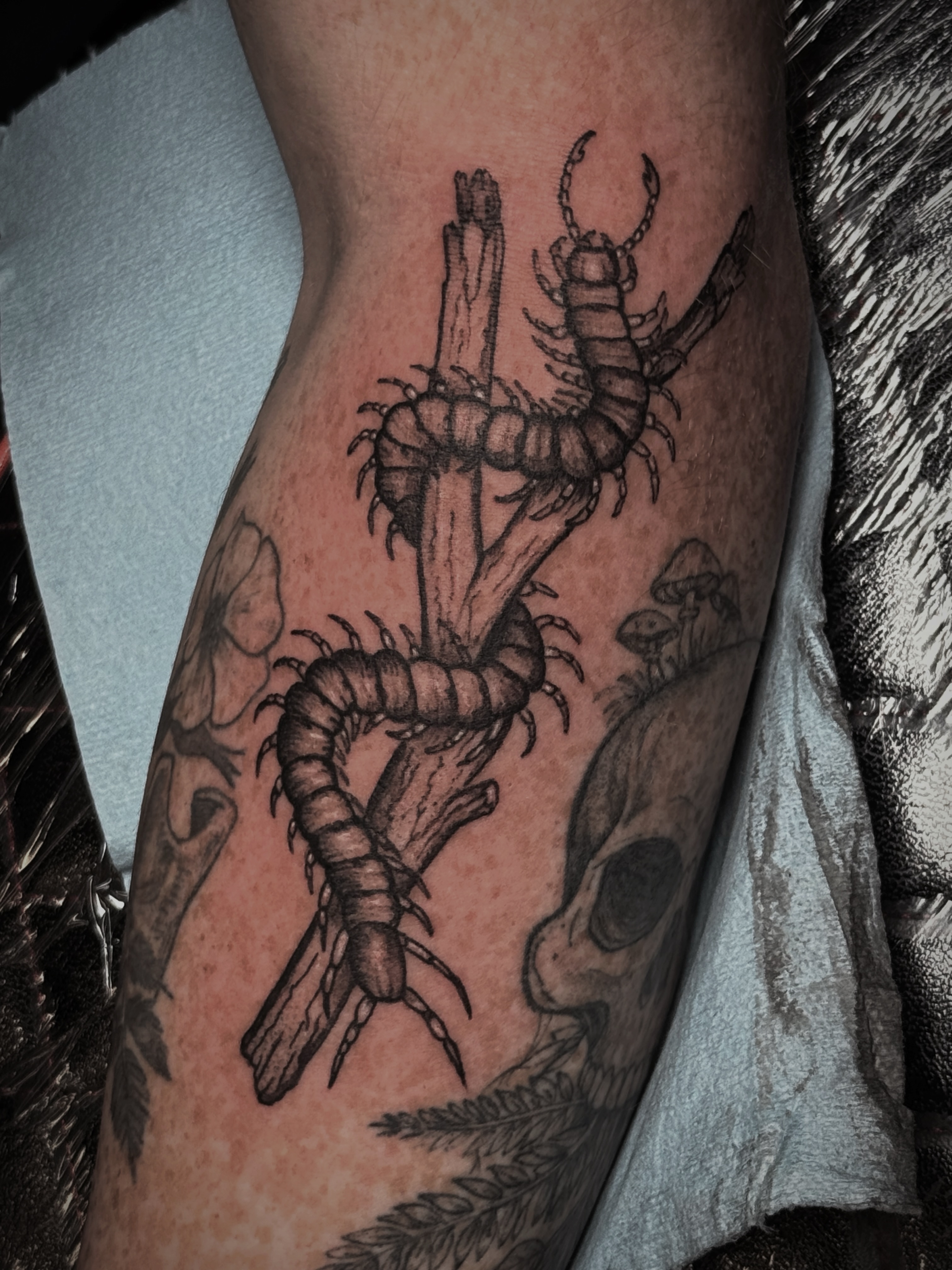 Centipedes and skull black and grey tattoo on the forearm by Kaylee Castleton, Tooele, Utah