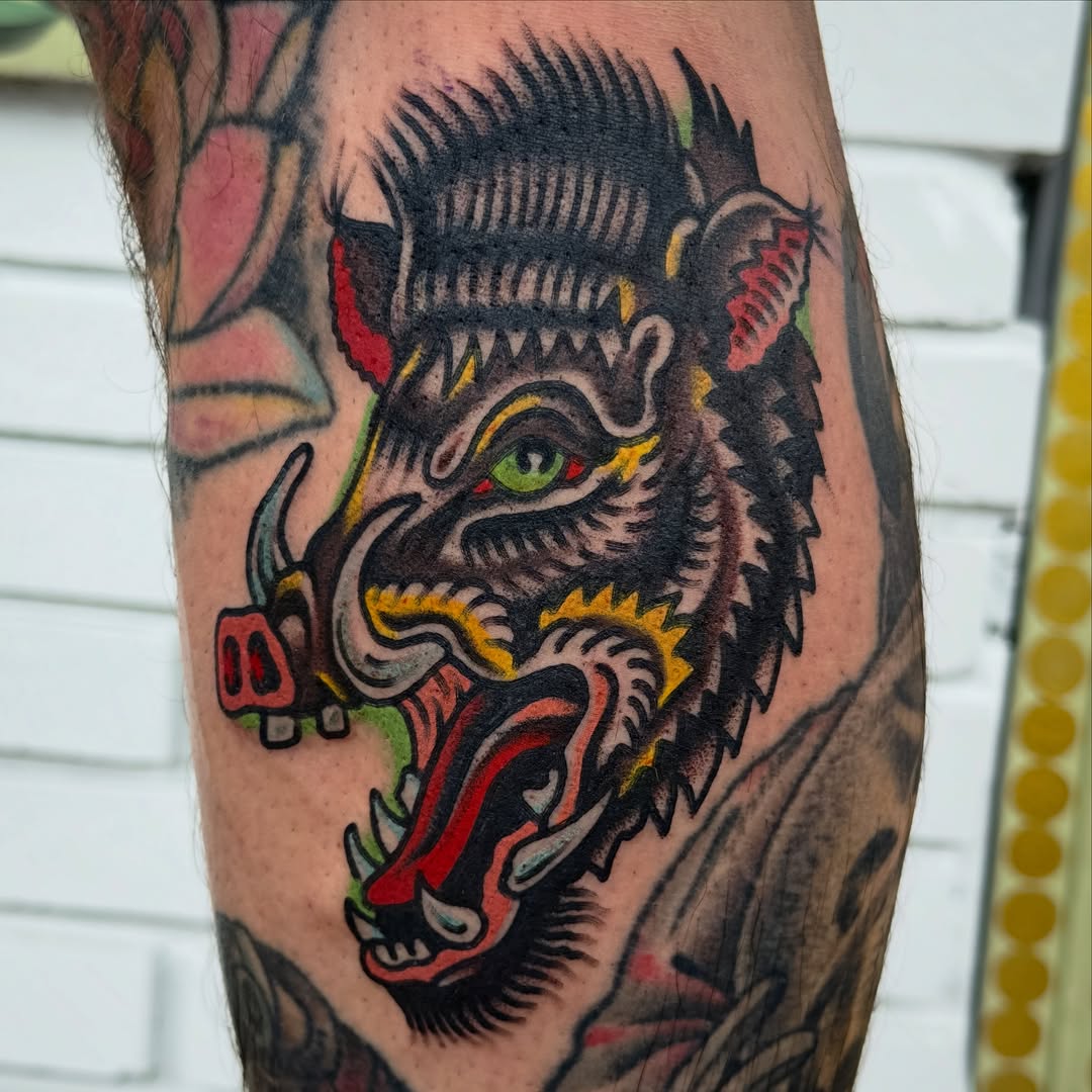 Boar head American traditional tattoo on the forearm by Jared Allen, Saint Petersburg, Florida