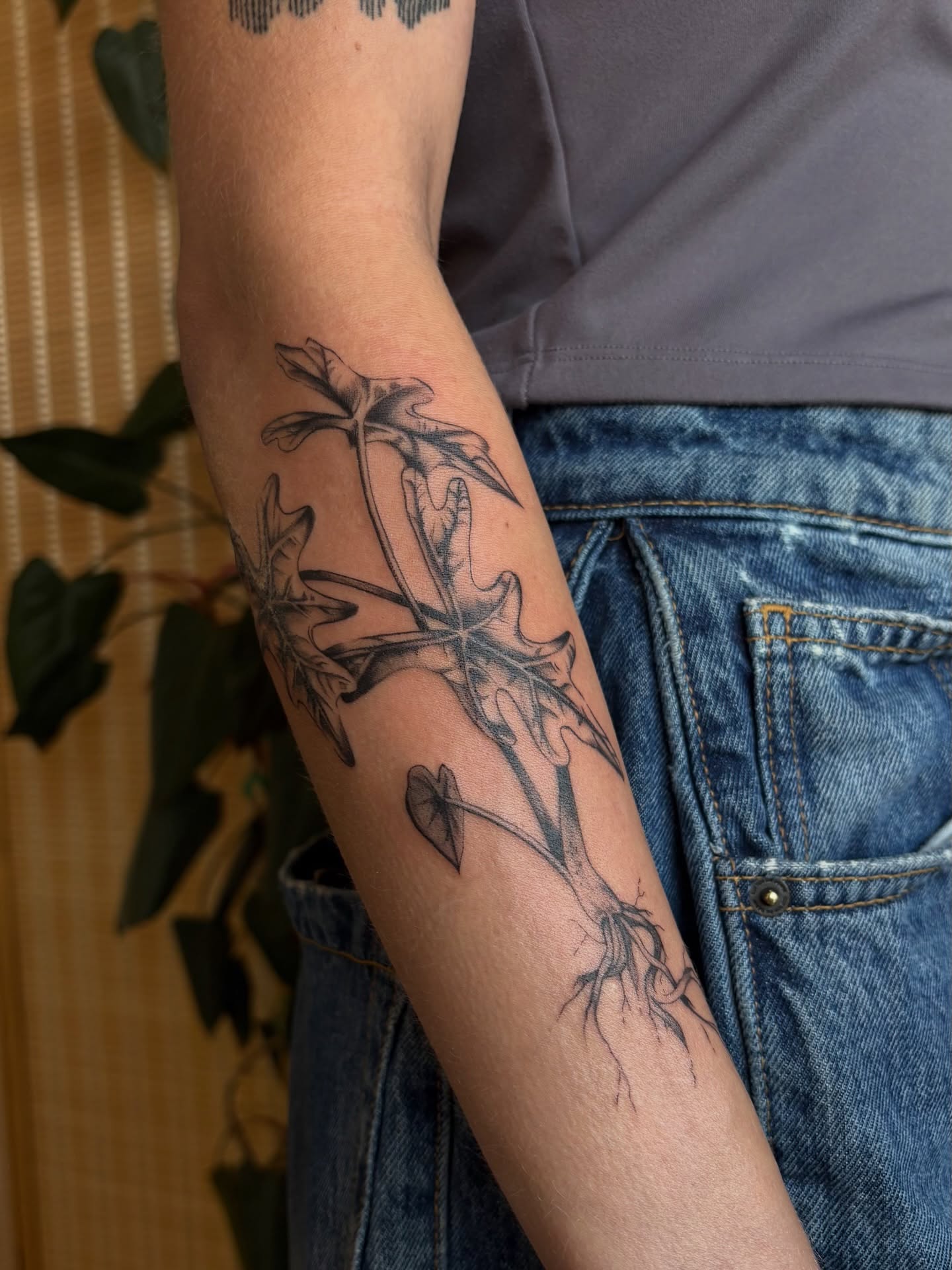 Plant black and grey tattoo on the forearm by emery ♡ slc utah tattoo artist