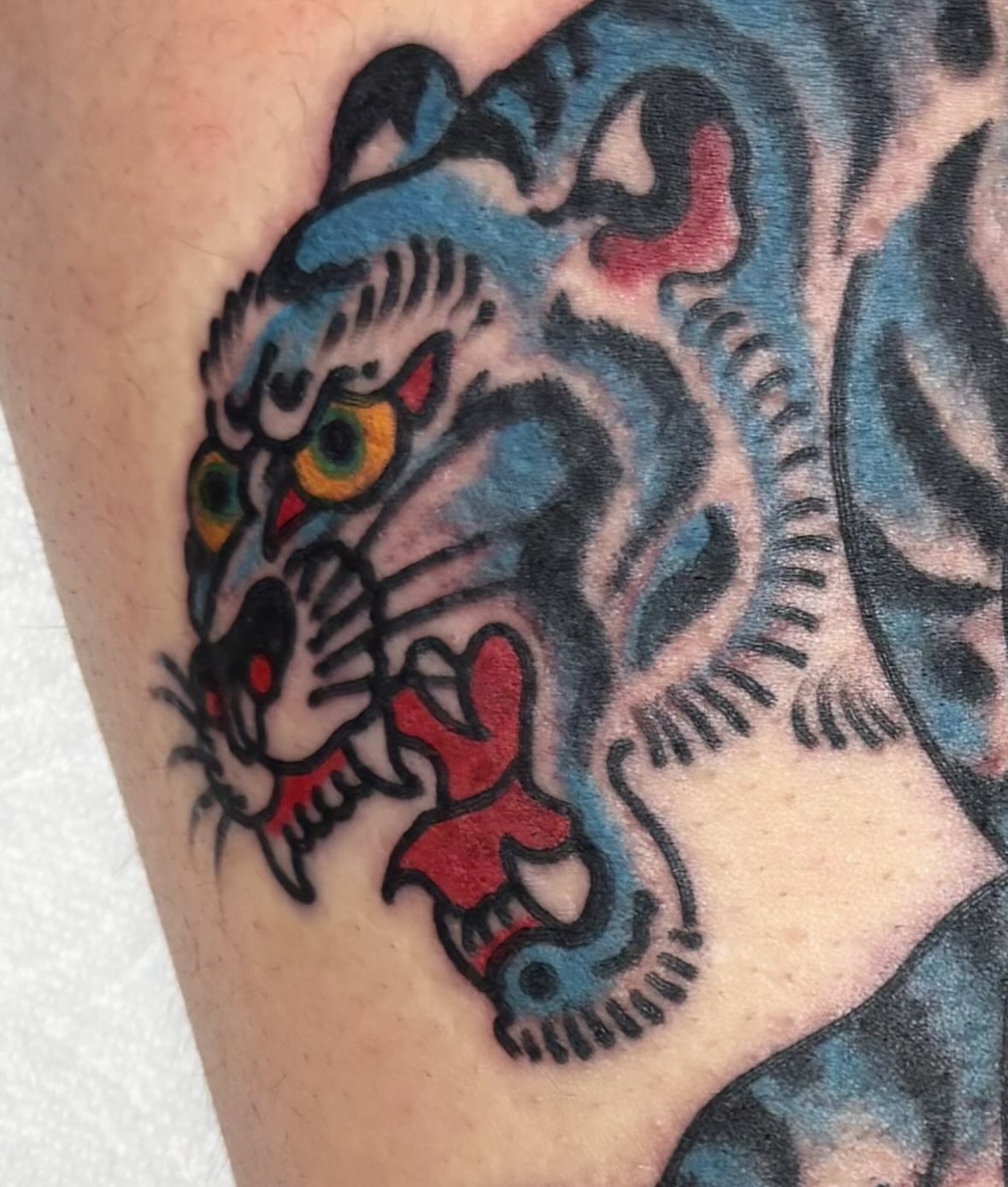 Tiger American traditional tattoo on the forearm by Santo Zelaya, San Francisco, California