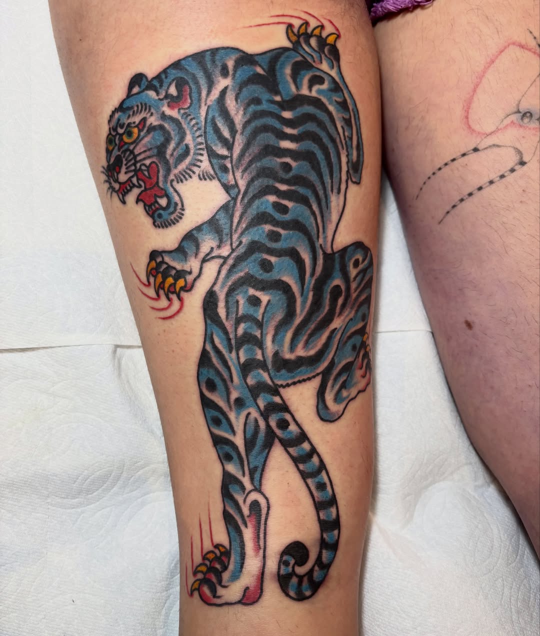 Tiger American traditional tattoo on the leg by Santo Zelaya, San Francisco, California
