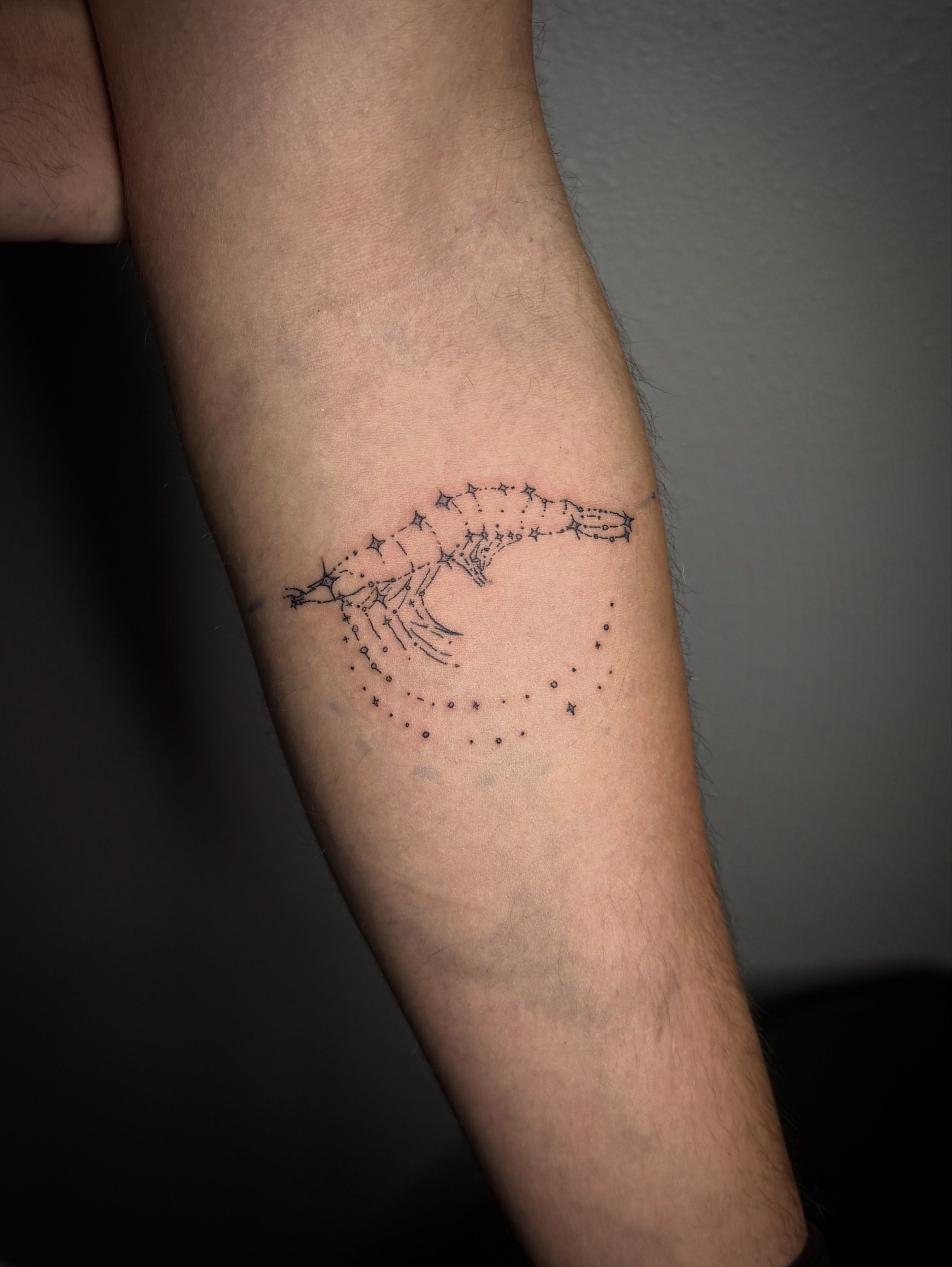 Constellation dotwork tattoo on the forearm by Cullen-Lee