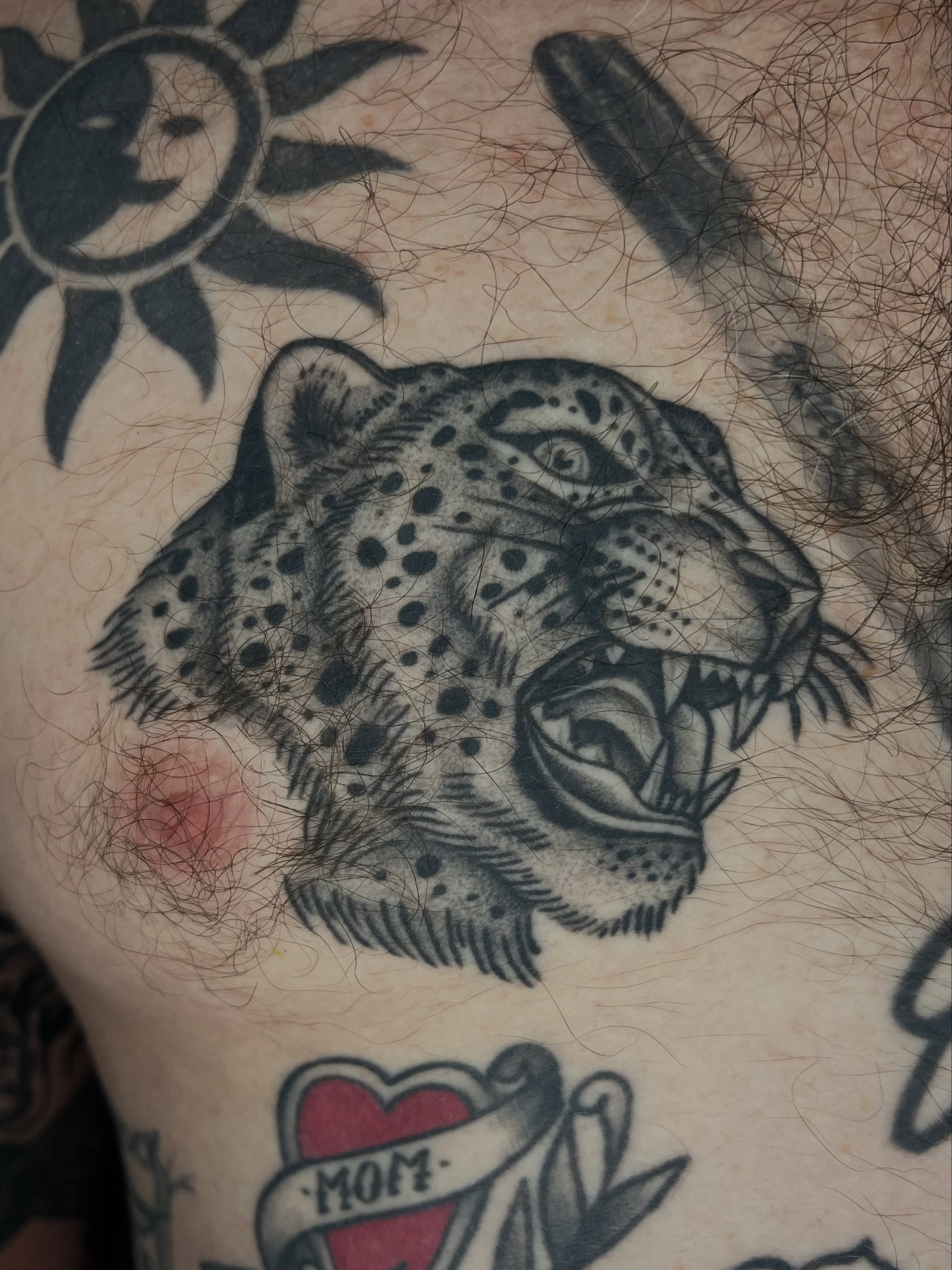 Roaring leopard realism tattoo on the chest by Patrick Elijah
