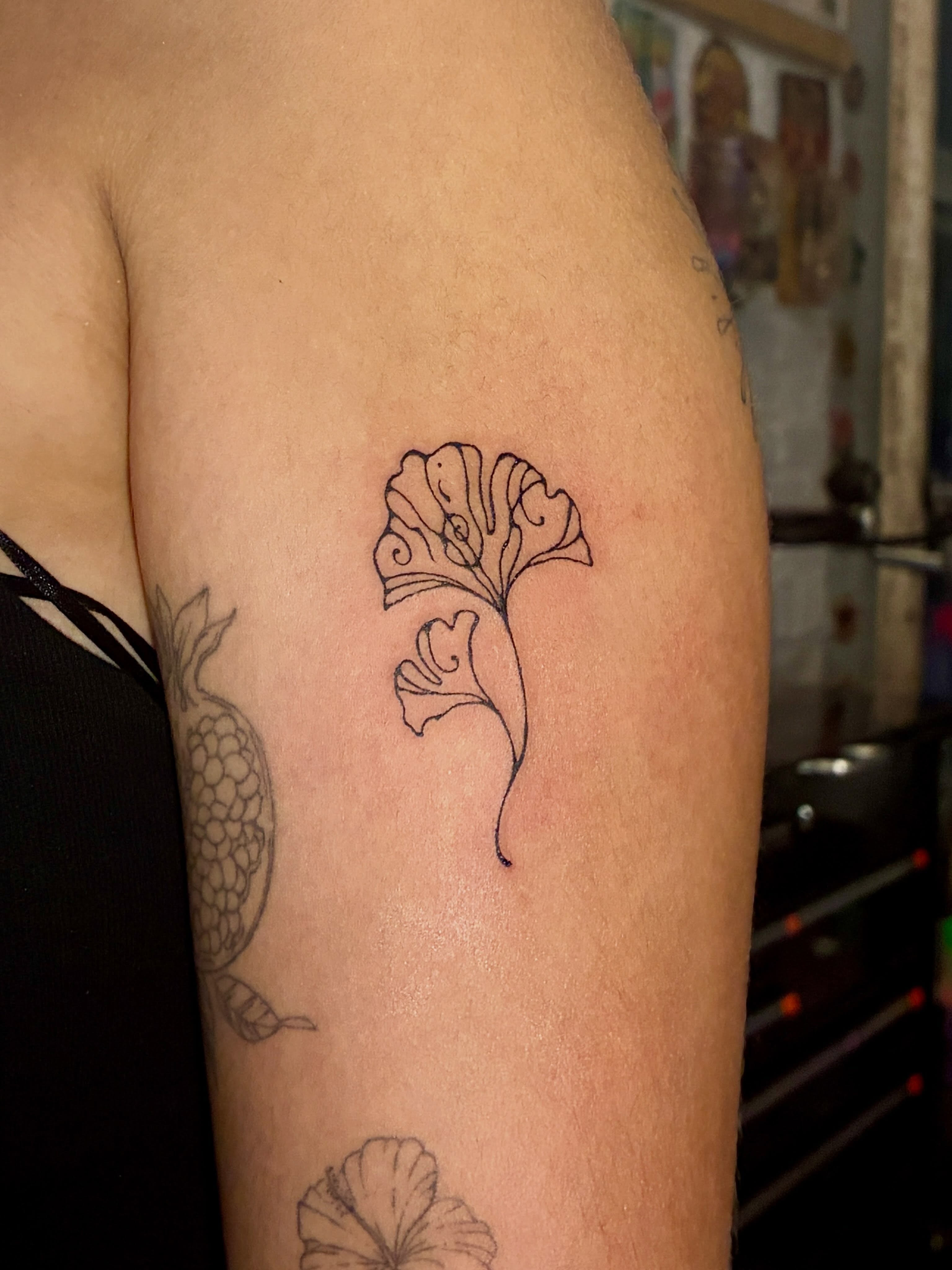 Gingko leaf fine line tattoo on the forearm by thalia