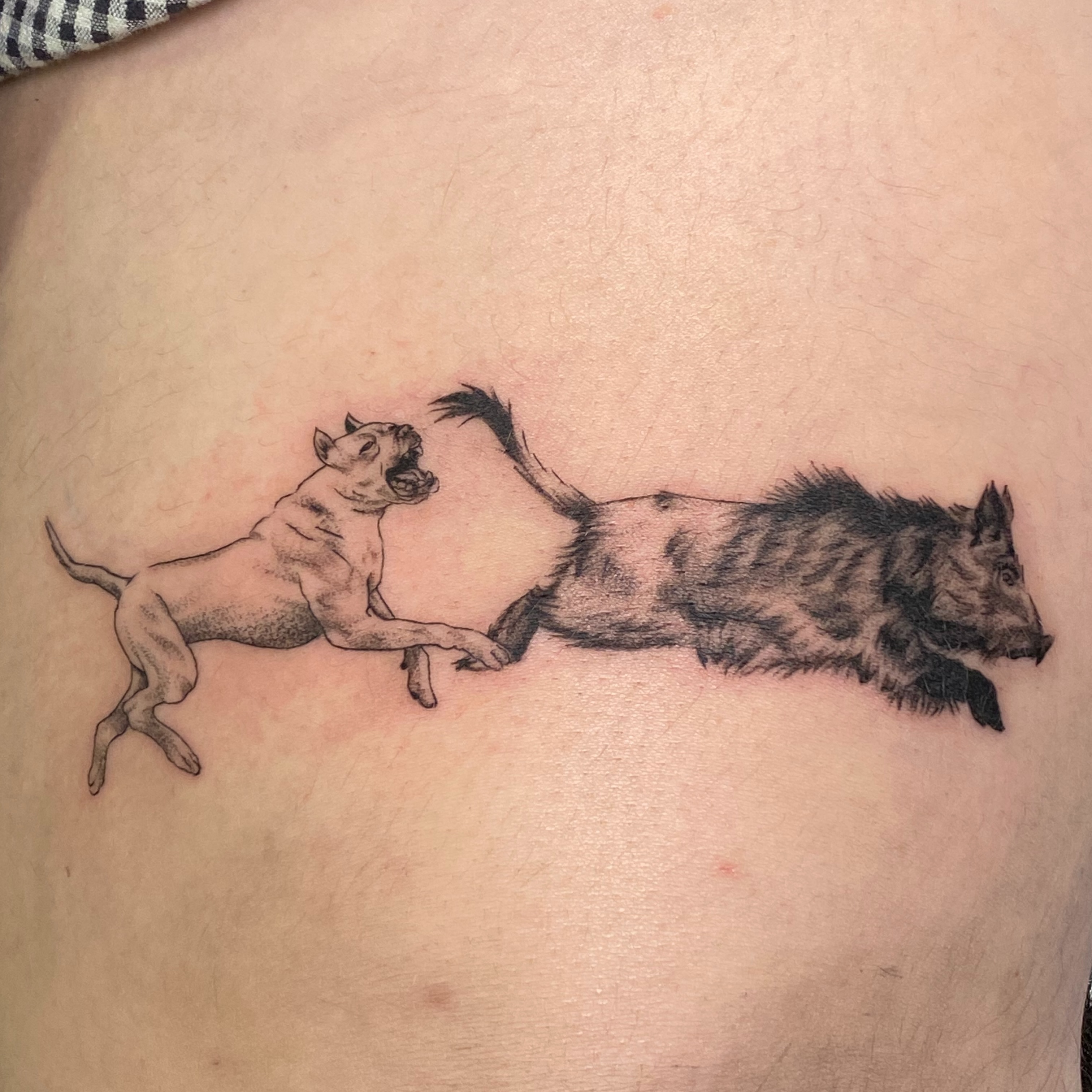 Lion chasing boar realism tattoo on the ribs by Mack ๐ Utah Tattoos