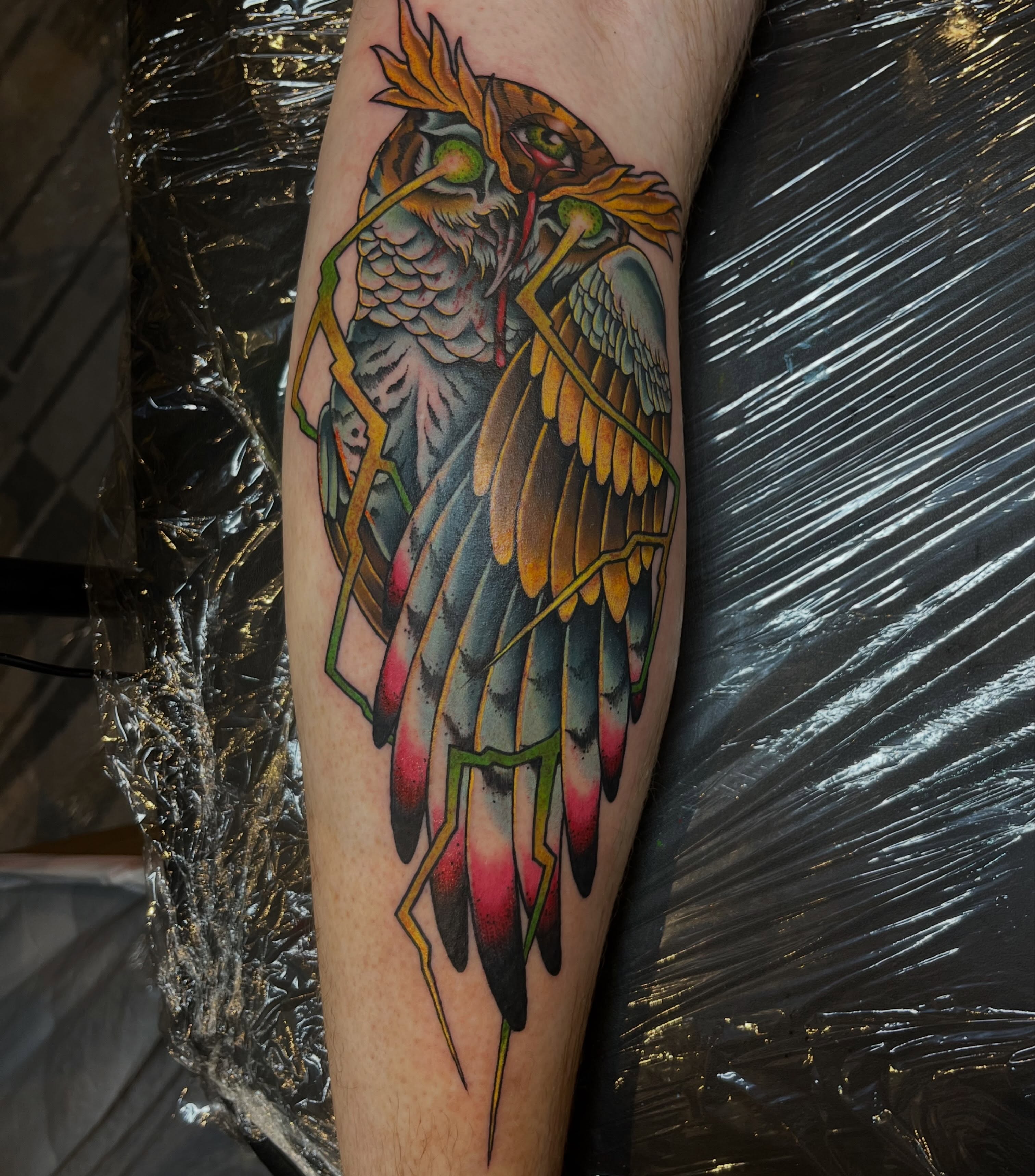 Owl American traditional tattoo on the forearm by Allie Tippets, Gilbert, Arizona