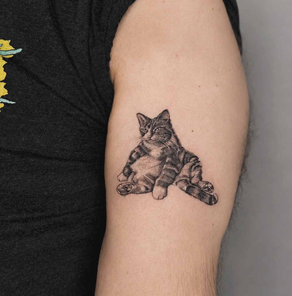 Cat realism tattoo on the forearm by MJ
