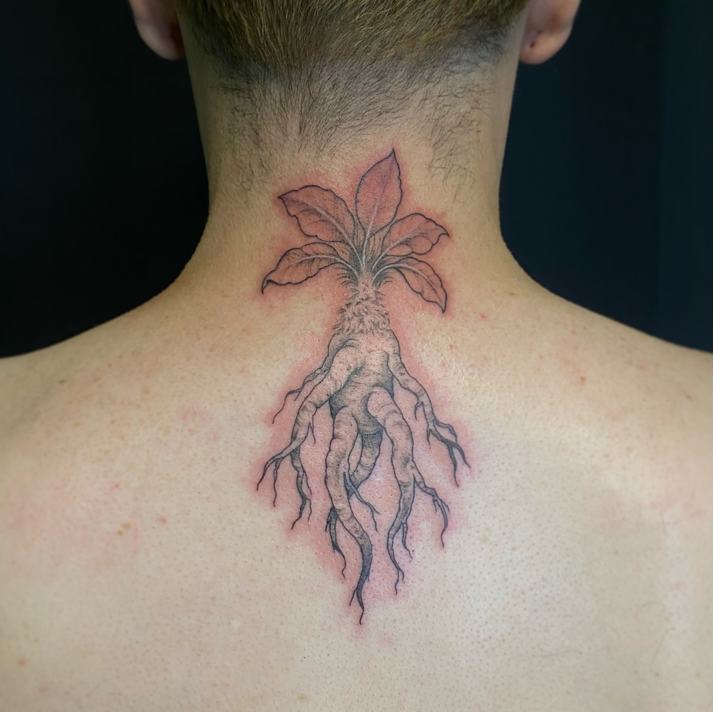 Root system realism tattoo on the neck by 𝙅𝙤𝙧𝙙𝙖𝙣 𝙏𝙝𝙞𝙗𝙚𝙙𝙚𝙖𝙪