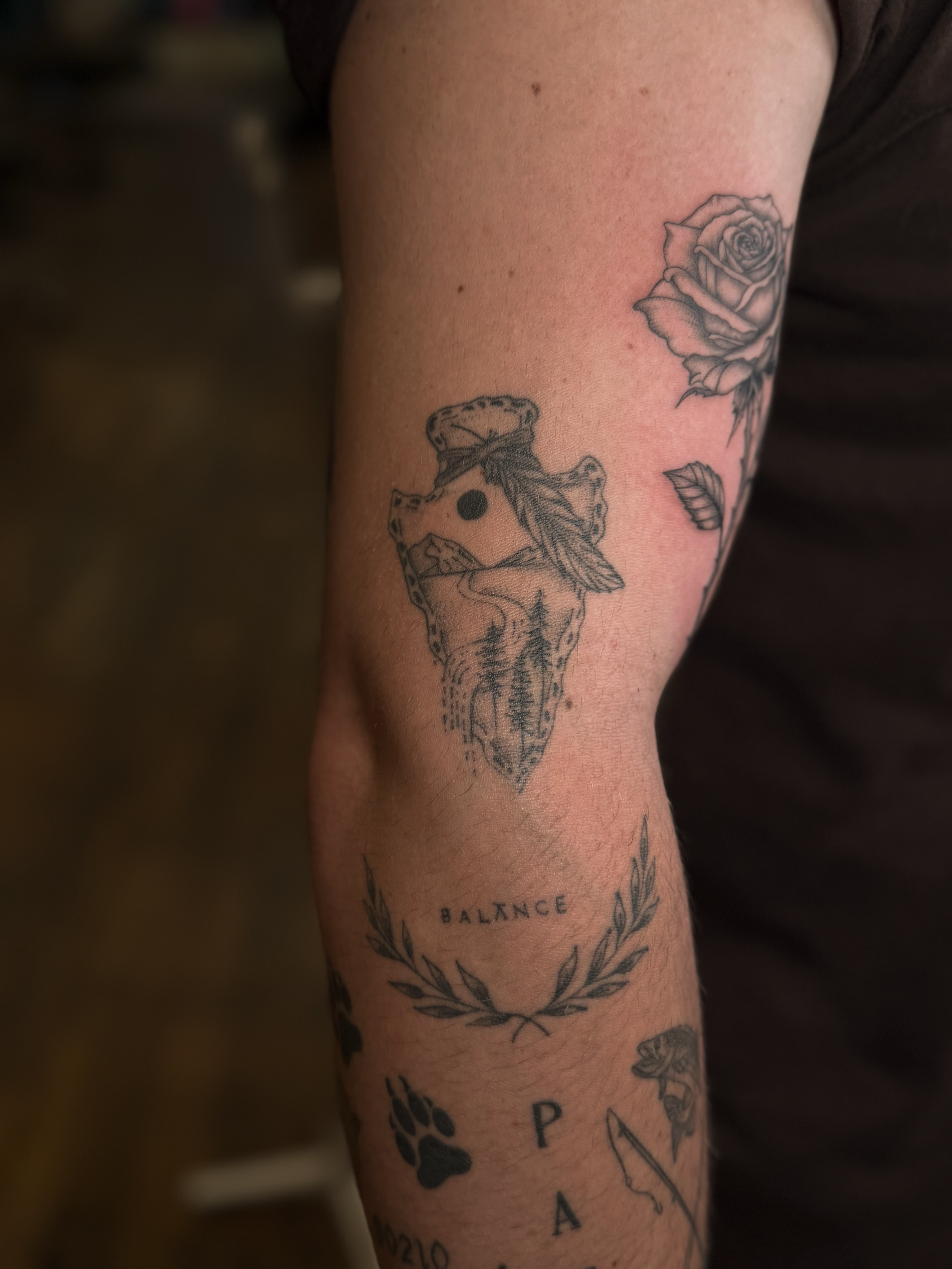 Tattoo by @wildcoyoteco — black_and_grey