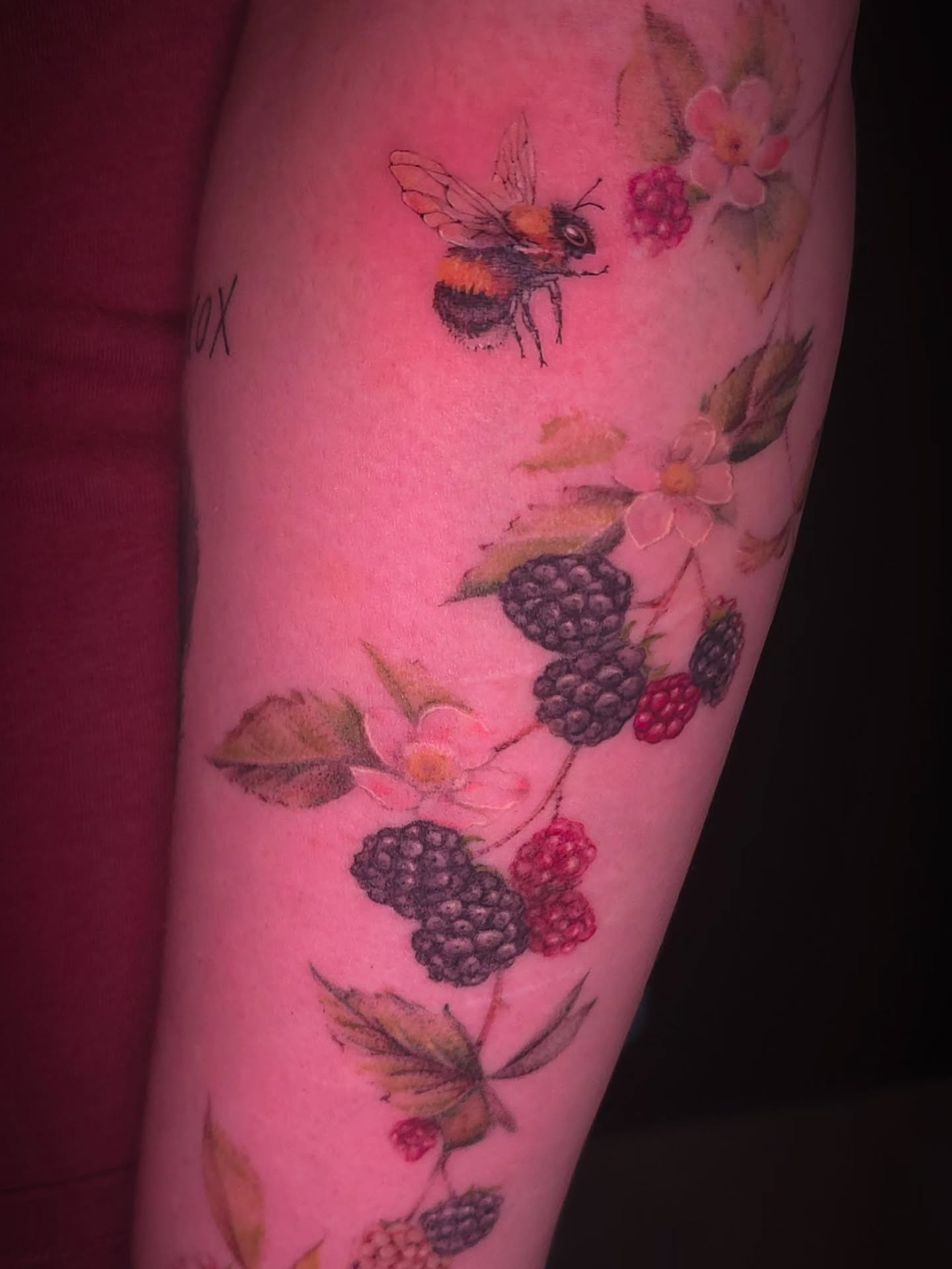 Berry and bee watercolor tattoo on the forearm by Viktoriia ▪︎ Tattoo ▪︎ Chicago ▪︎ Naperville