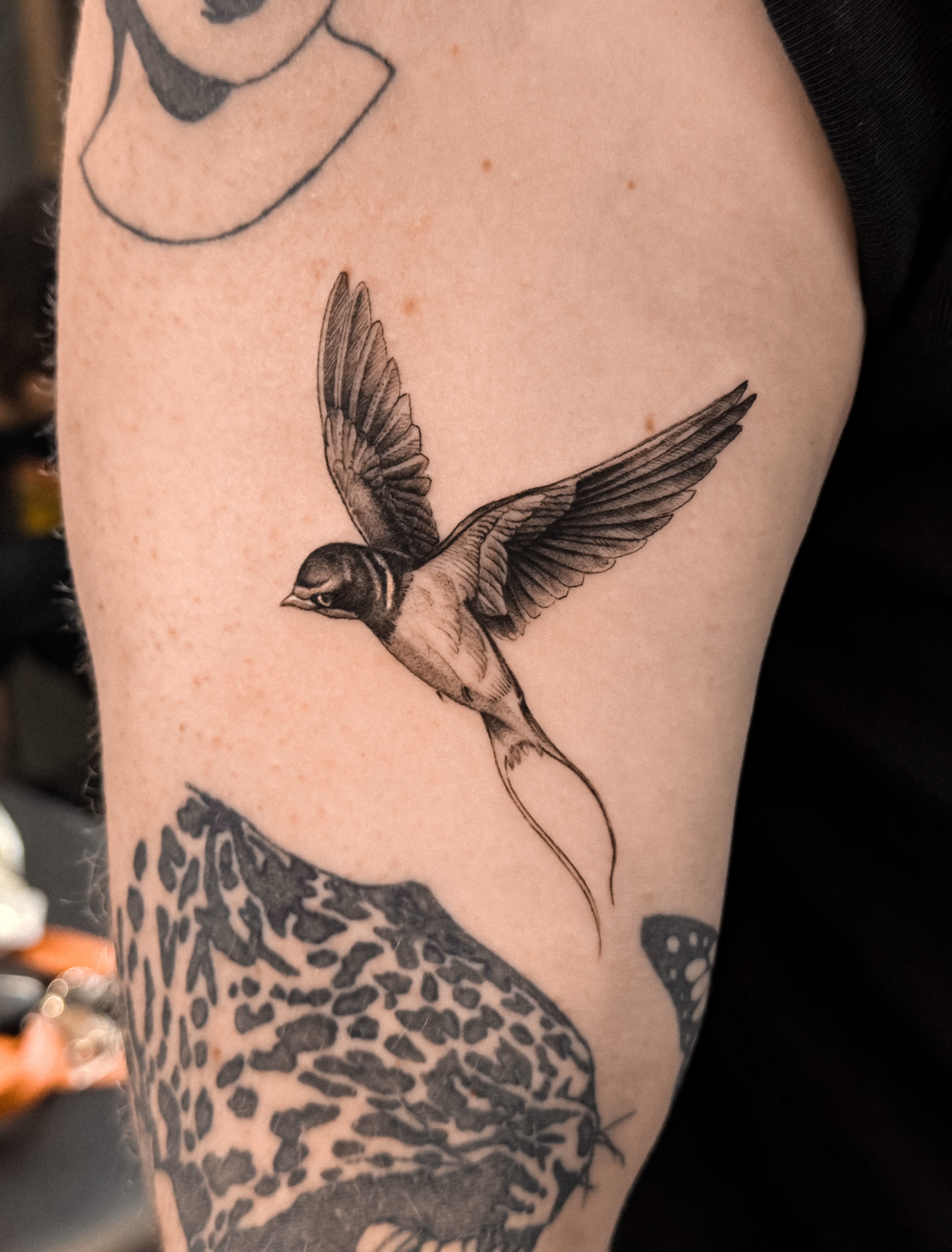 Tattoo by @dannyptattoos — realism
