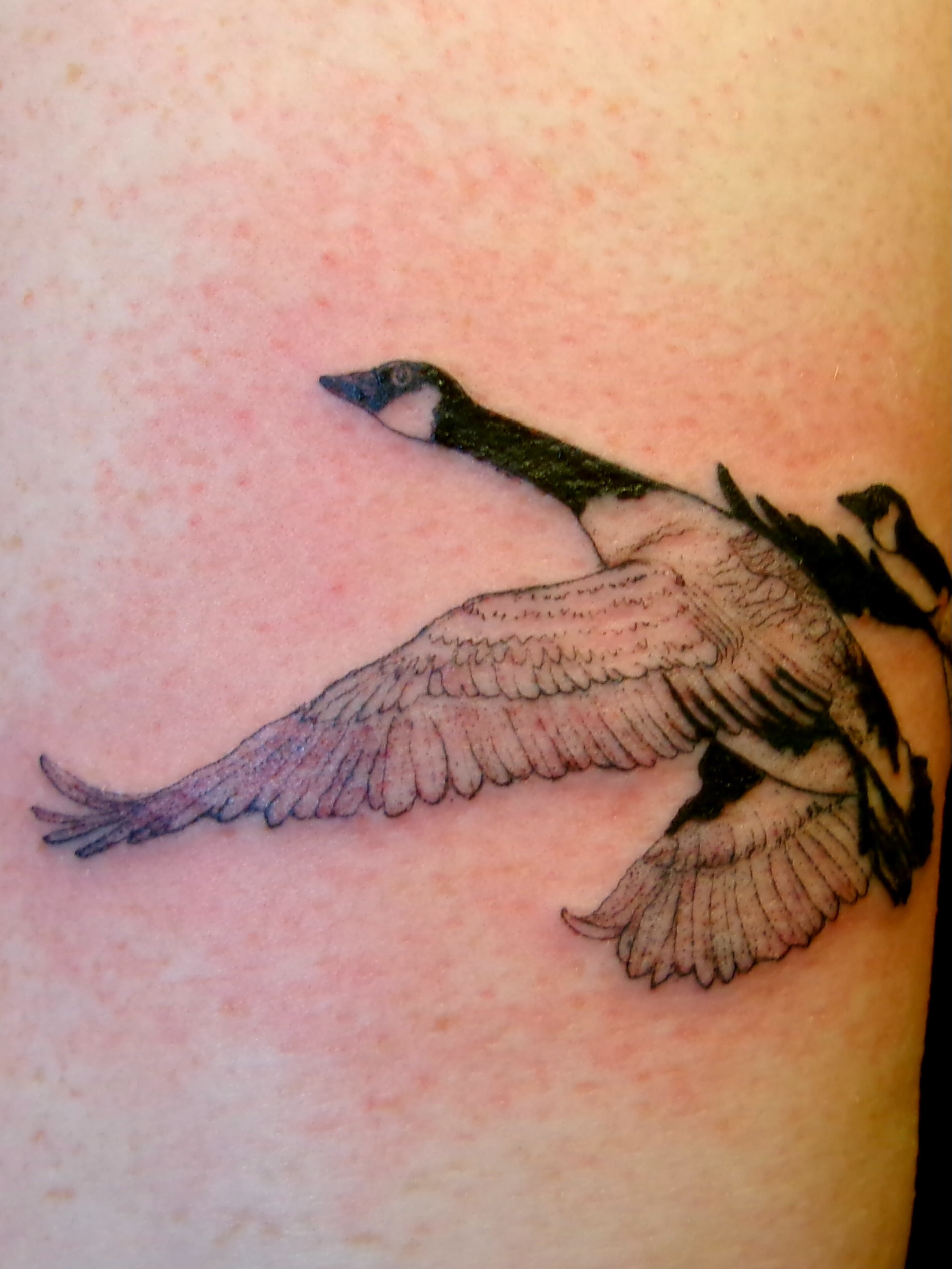 Goose black and grey tattoo on the upper arm by Zo ☆ Moon Snail