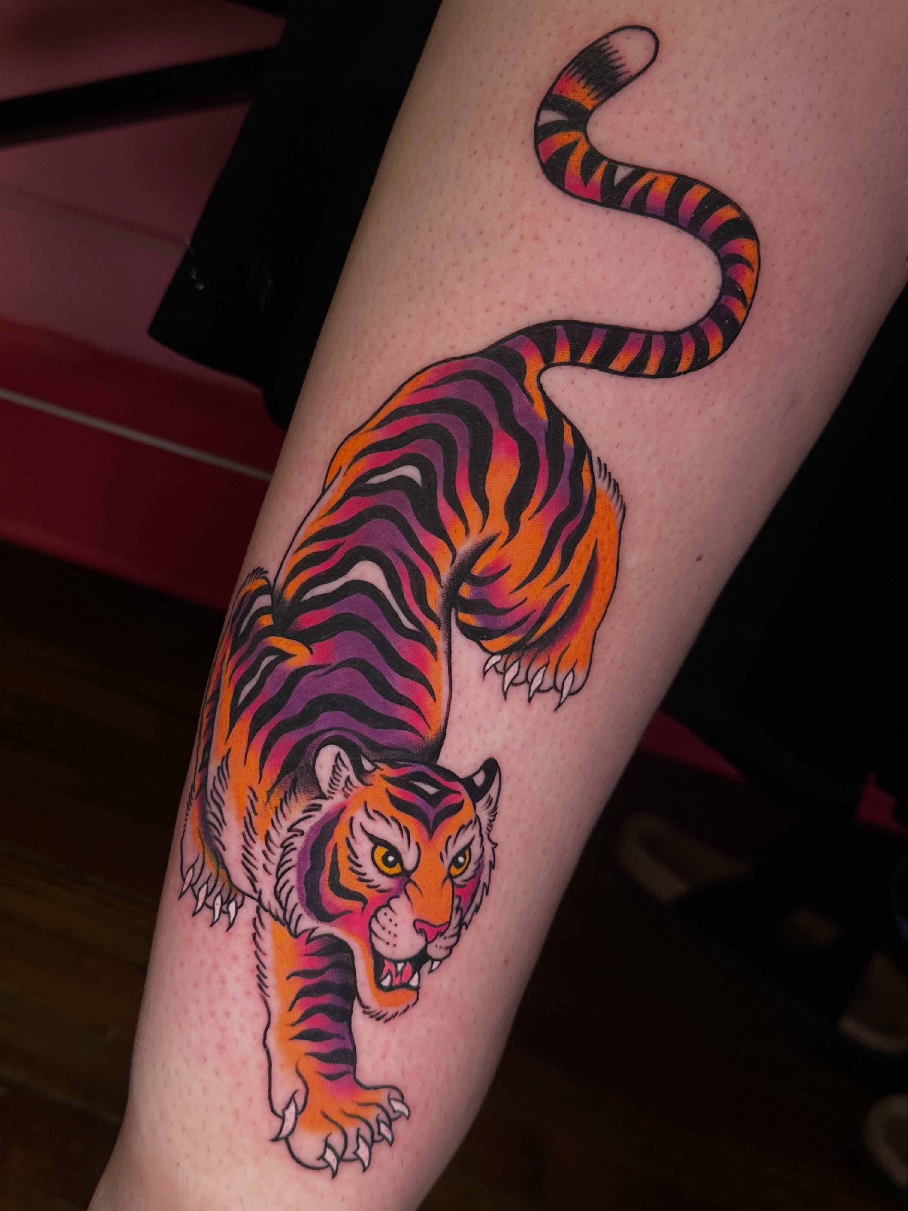 Tiger American traditional tattoo on the forearm by 𝔪𝔞𝔩𝔢𝔯𝔦𝔢 𝔫𝔢𝔳𝔢𝔯𝔪𝔬𝔯𝔢 🐦‍⬛ 𝔫𝔢𝔴 𝔧𝔢𝔯𝔰𝔢𝔶 𝔱𝔞𝔱𝔱𝔬𝔬