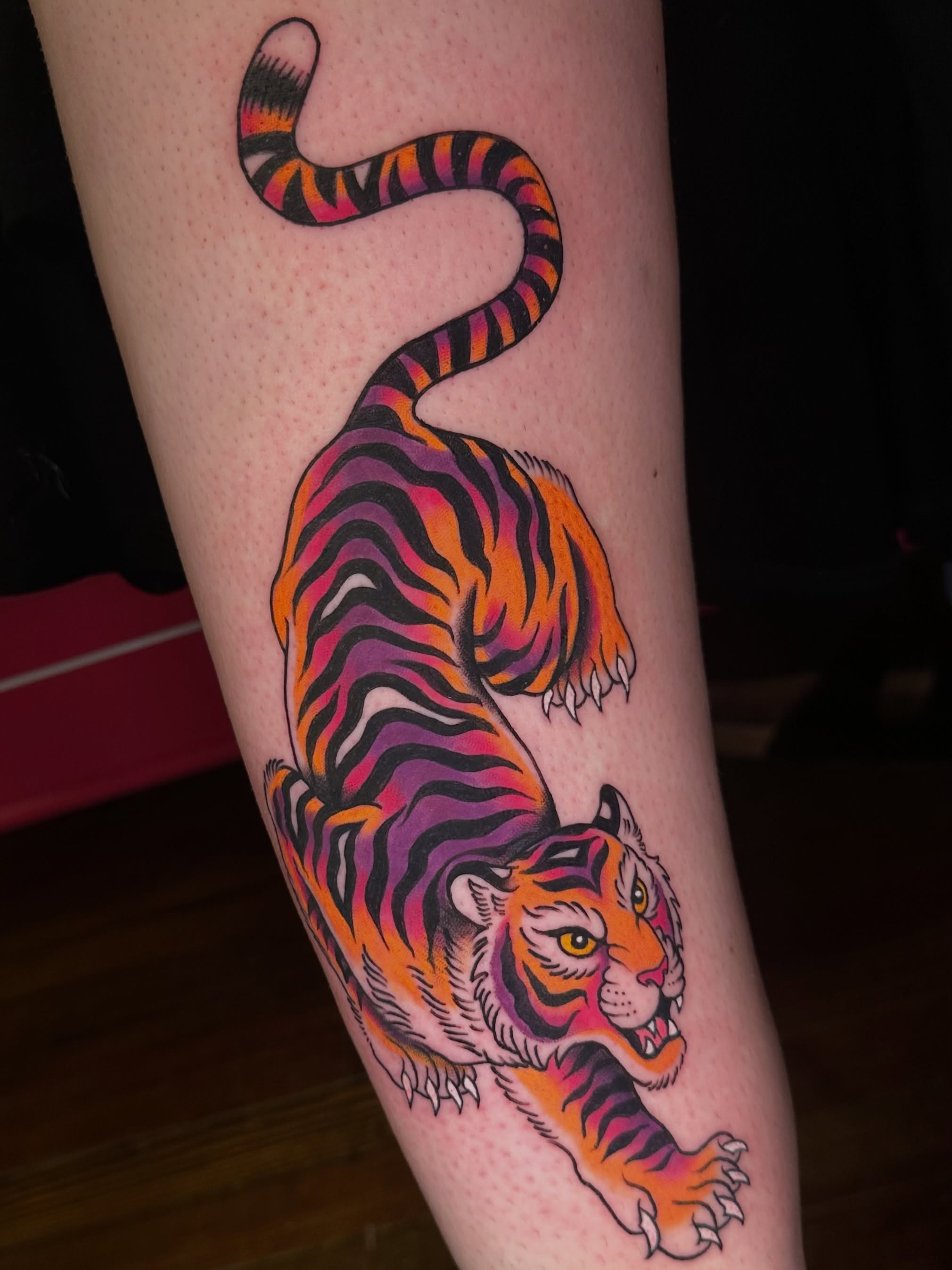 Tiger American traditional tattoo on the forearm by 𝔪𝔞𝔩𝔢𝔯𝔦𝔢 𝔫𝔢𝔳𝔢𝔯𝔪𝔬𝔯𝔢 🐦‍⬛ 𝔫𝔢𝔴 𝔧𝔢𝔯𝔰𝔢𝔶 𝔱𝔞𝔱𝔱𝔬𝔬
