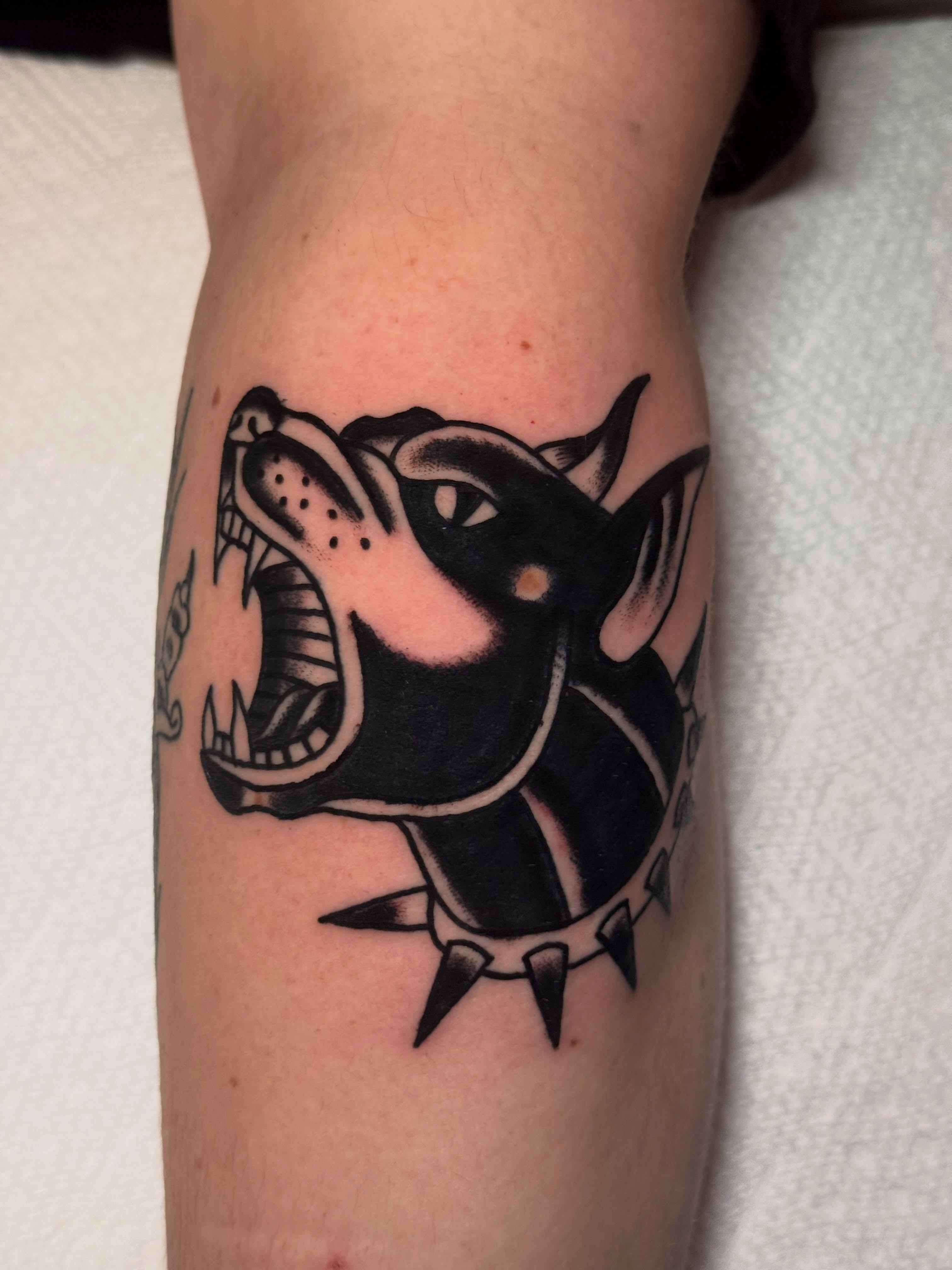 Roaring dog black and grey tattoo on the forearm by Zach Lemieux