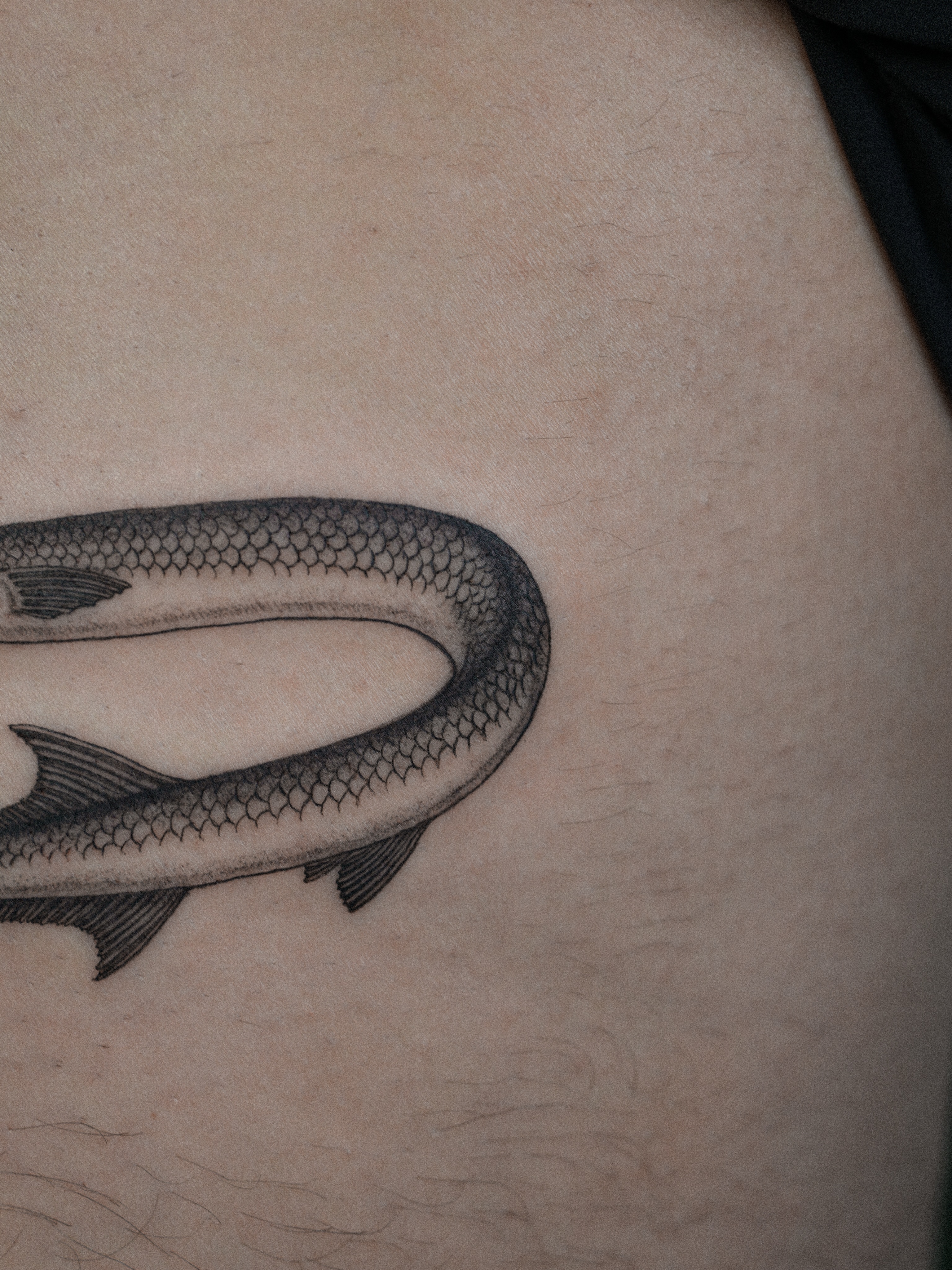 Fish black and grey tattoo on the thigh by Jena