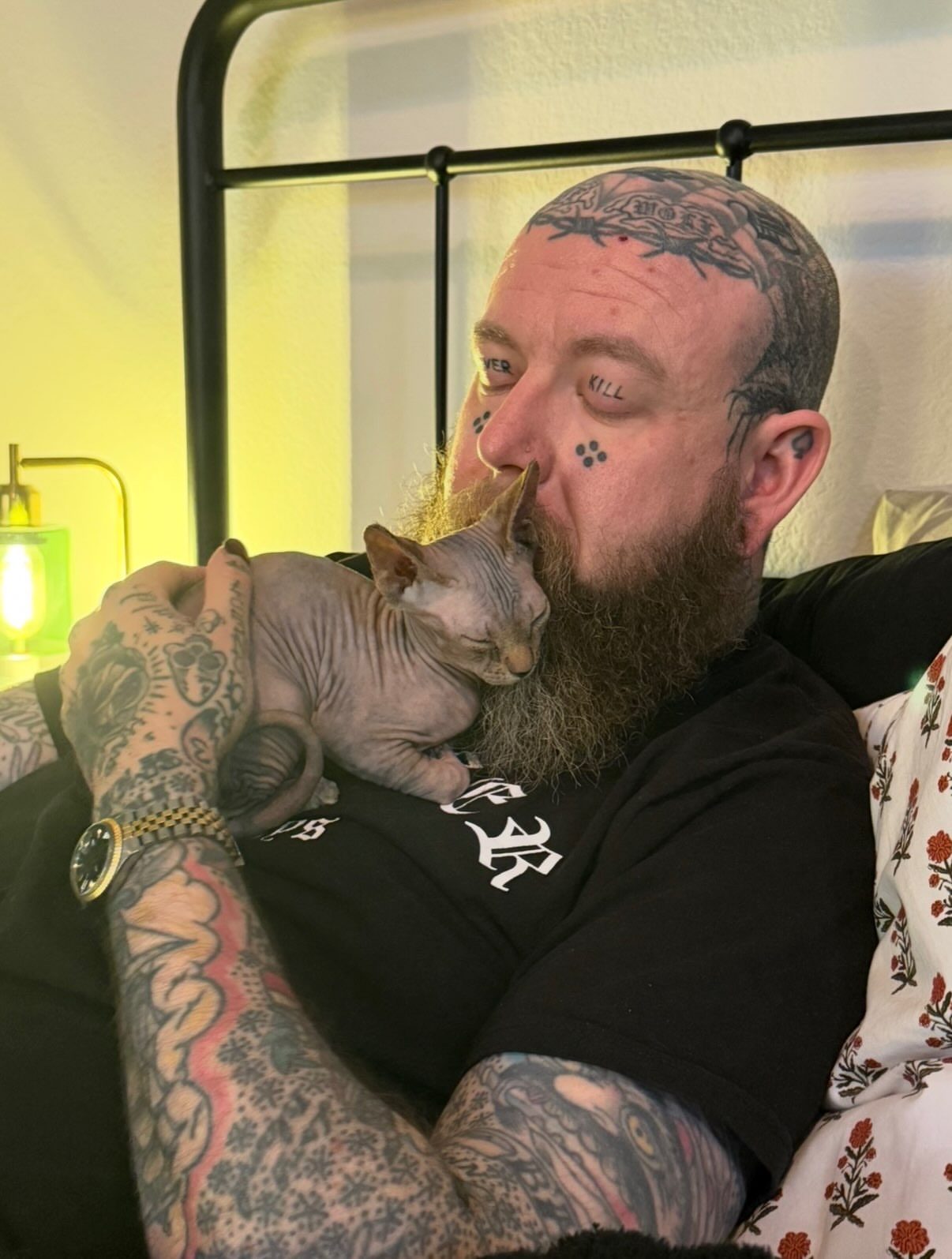 Bearded man with sphynx cat American traditional tattoo on the chest by Aaron ulfstam