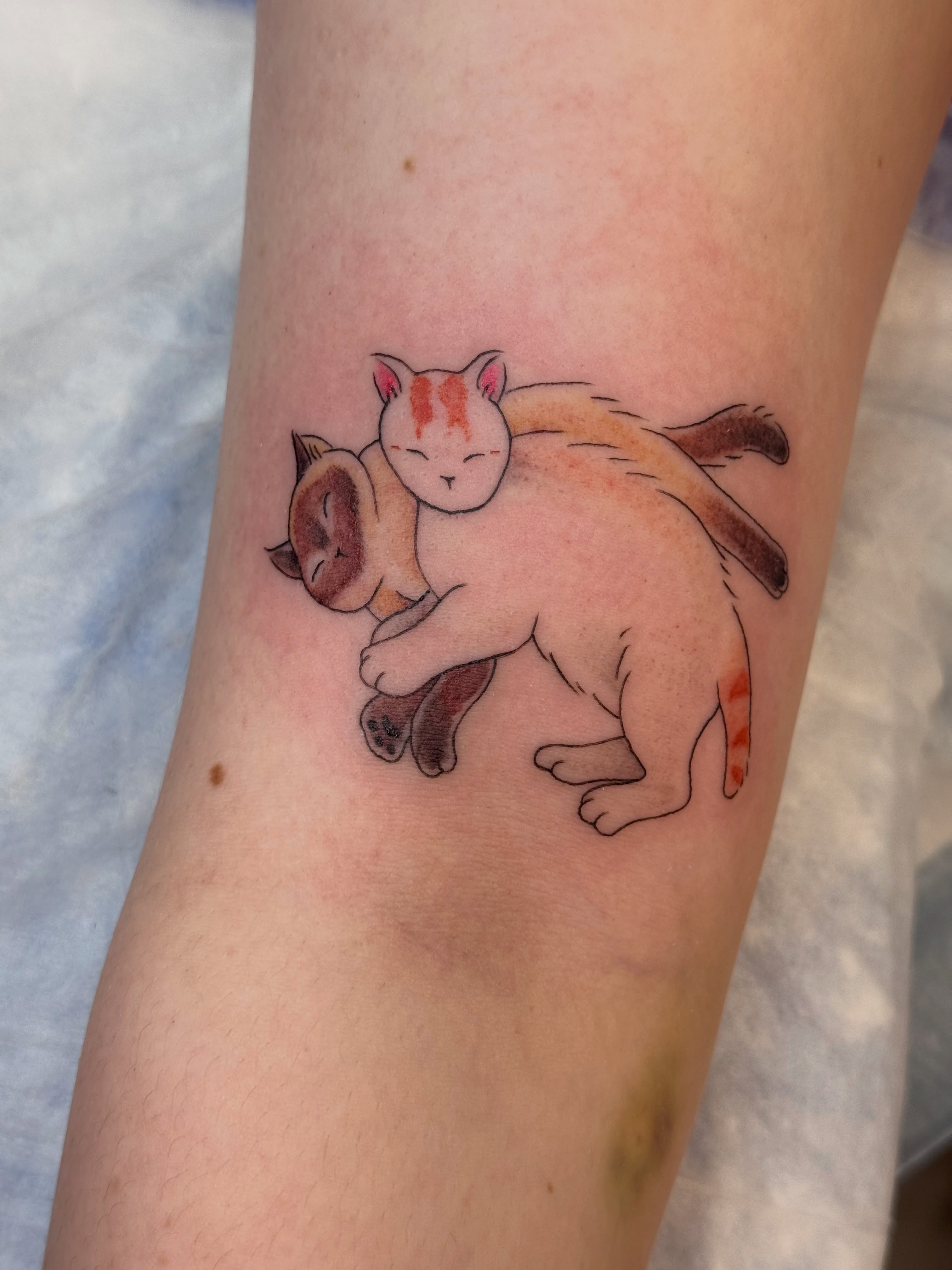 Two cats dotwork tattoo on the forearm by Caitlynn Austin