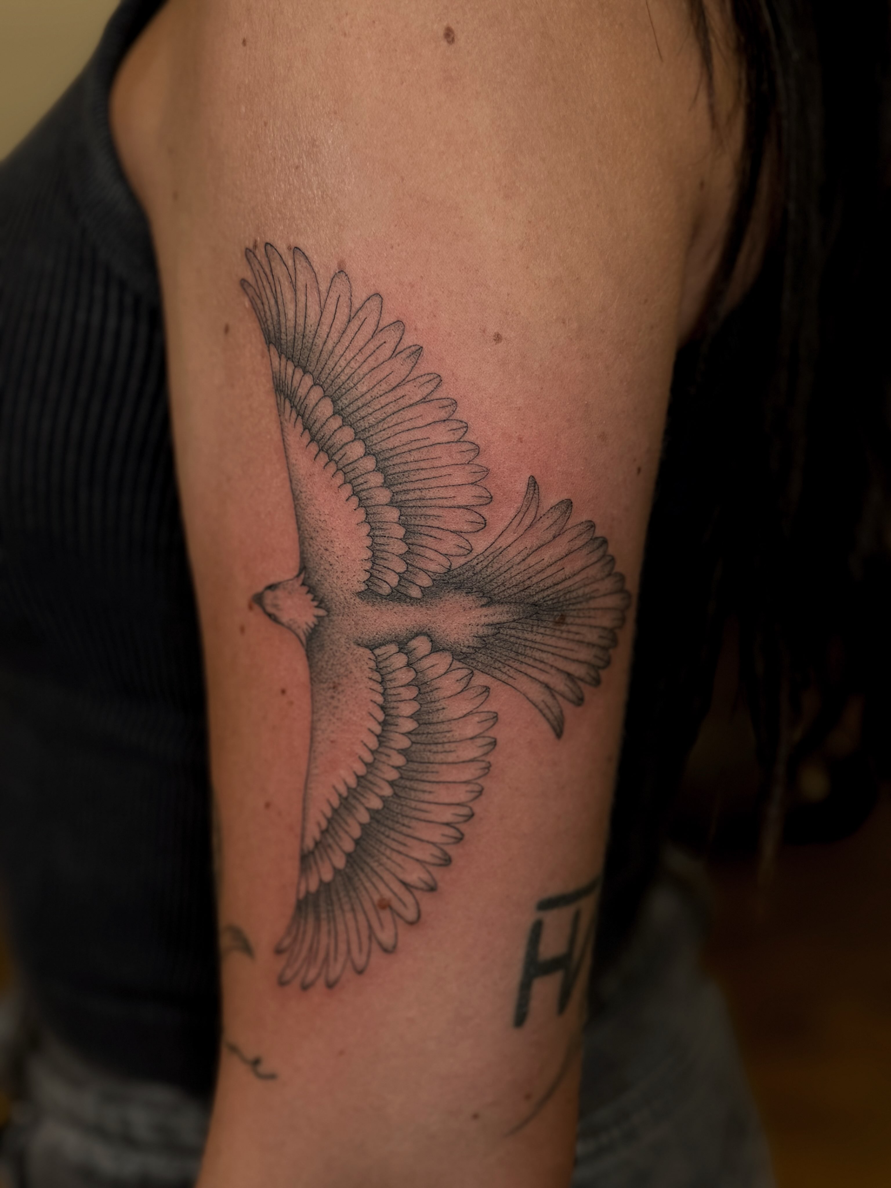 Tattoo by @wildcoyoteco — dotwork