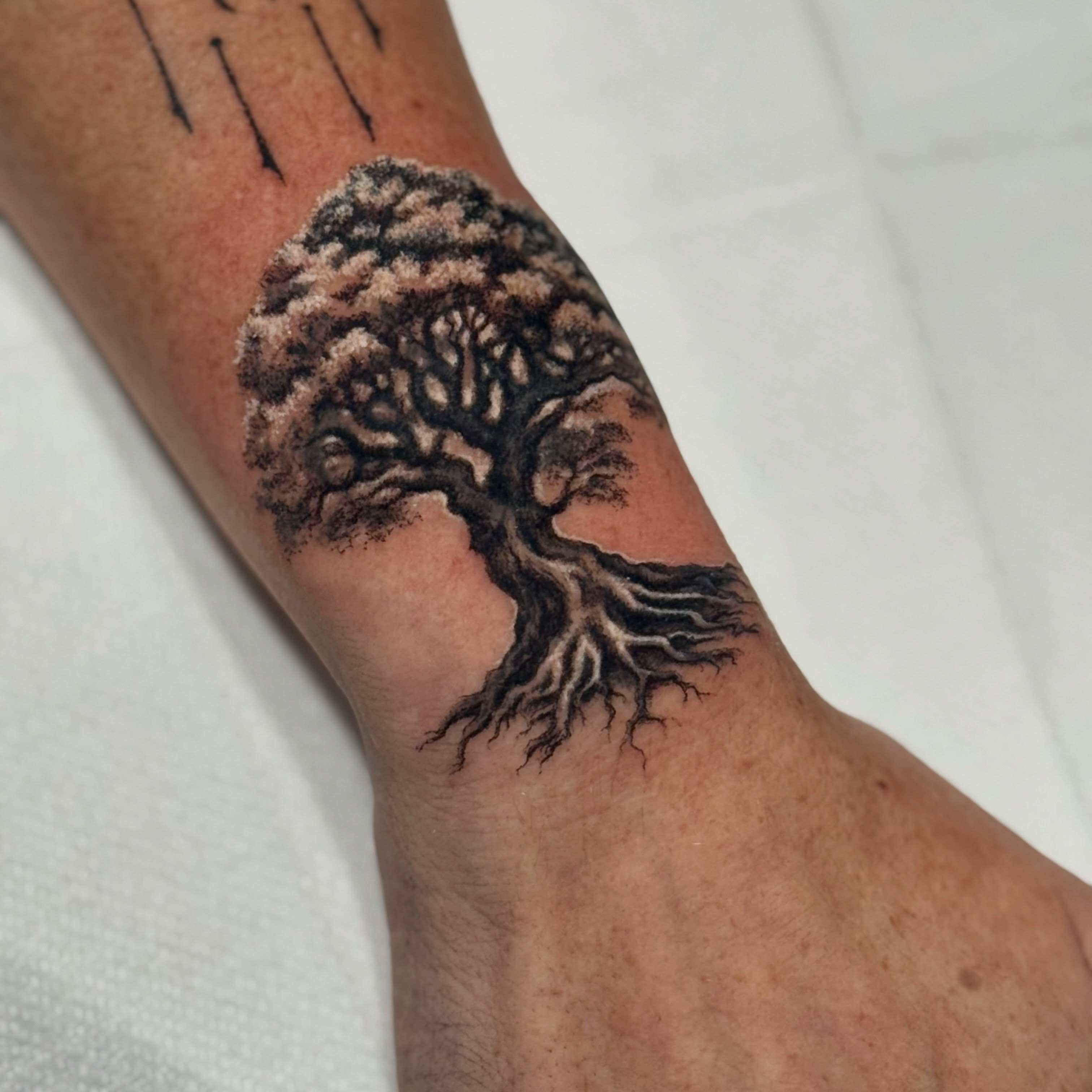 Tree black and grey tattoo on the forearm by Morgan Andres Soto