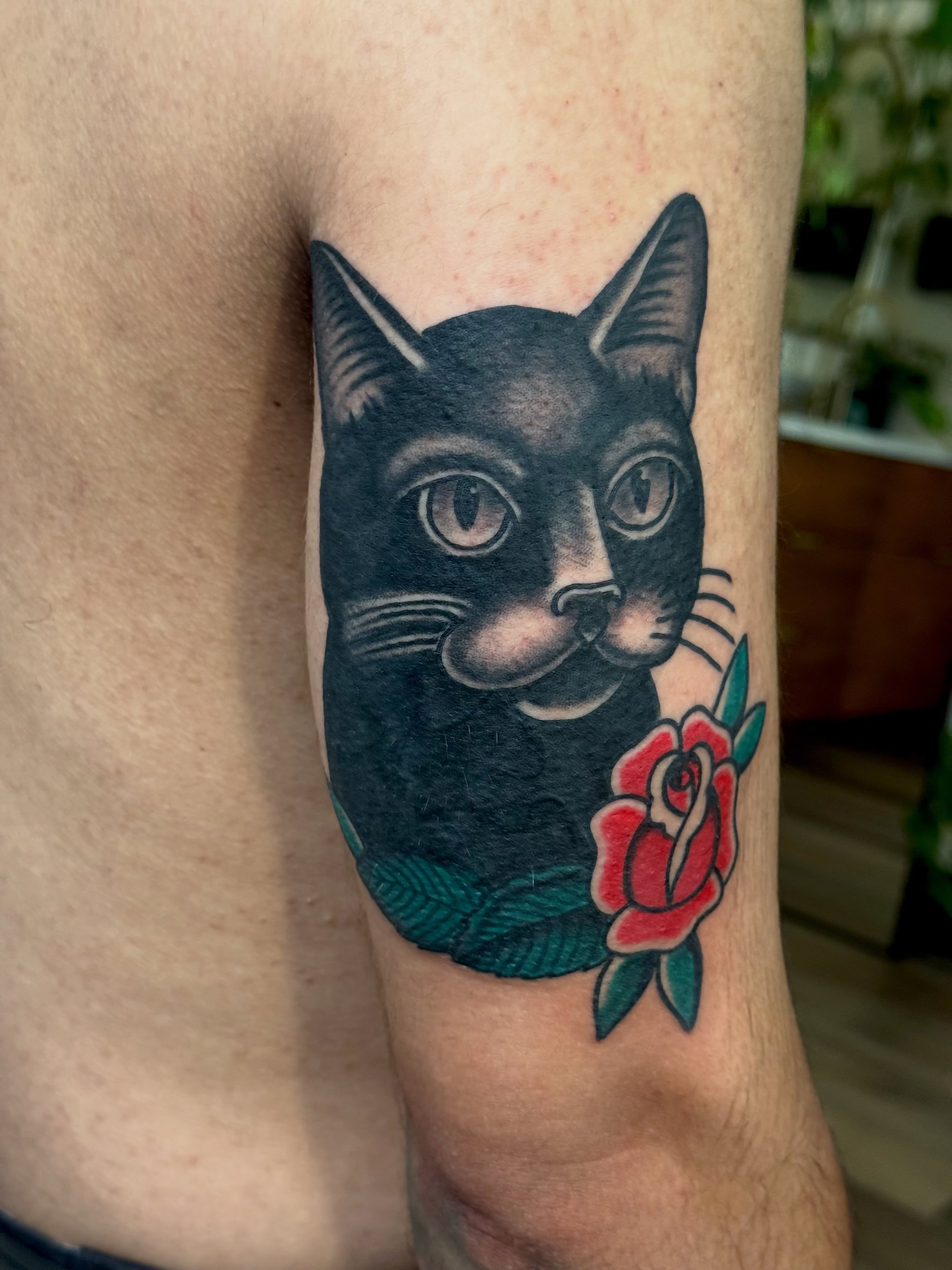 Black cat with rose American traditional tattoo on the forearm by San Diego Tattoo Artist - 𝔍𝔞𝔠𝔬𝔟 𝔓𝔞𝔫𝔦𝔞𝔤𝔲𝔞