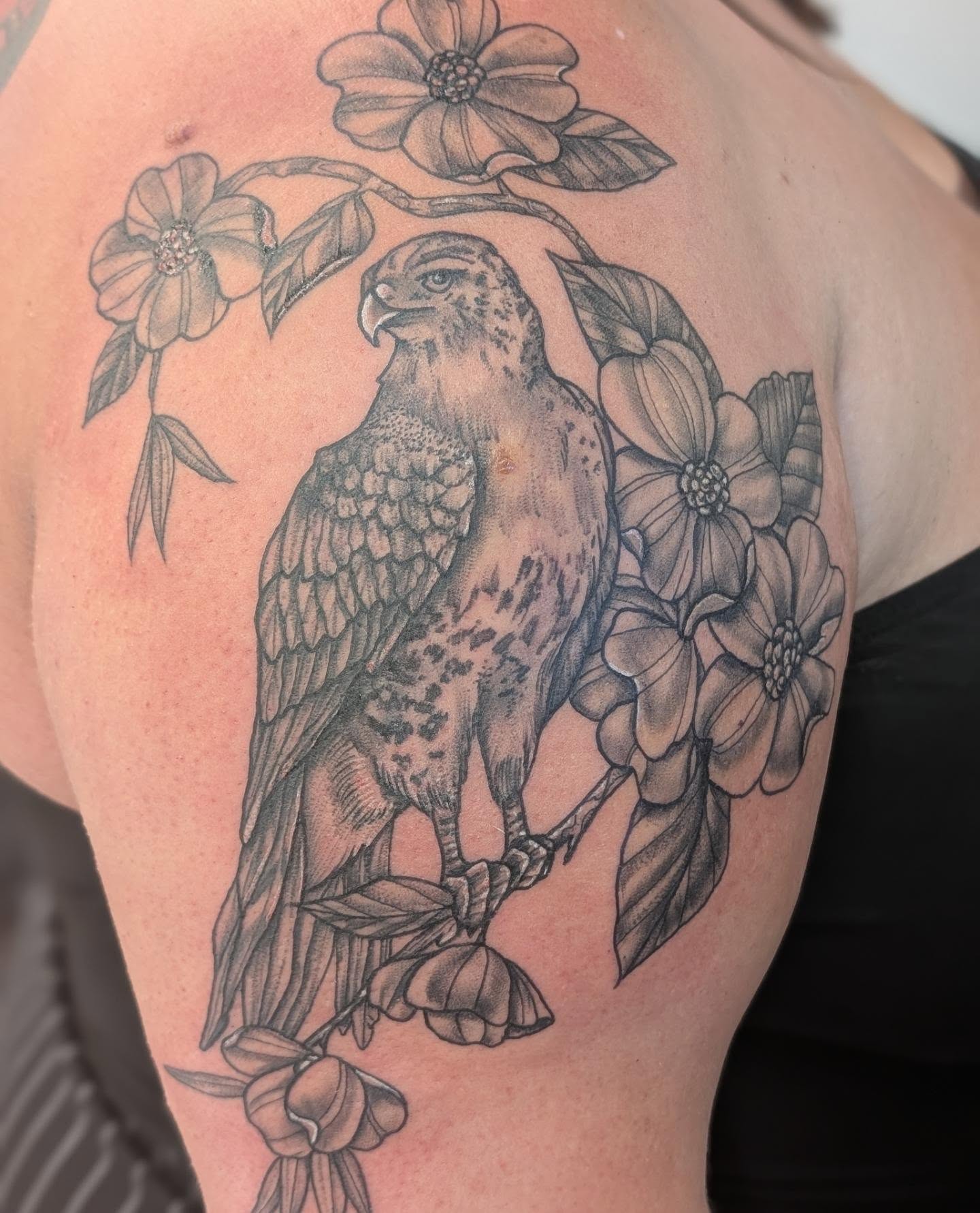 Hawk and flowers black and grey tattoo on the shoulder by Devon Ward, Portland, Oregon