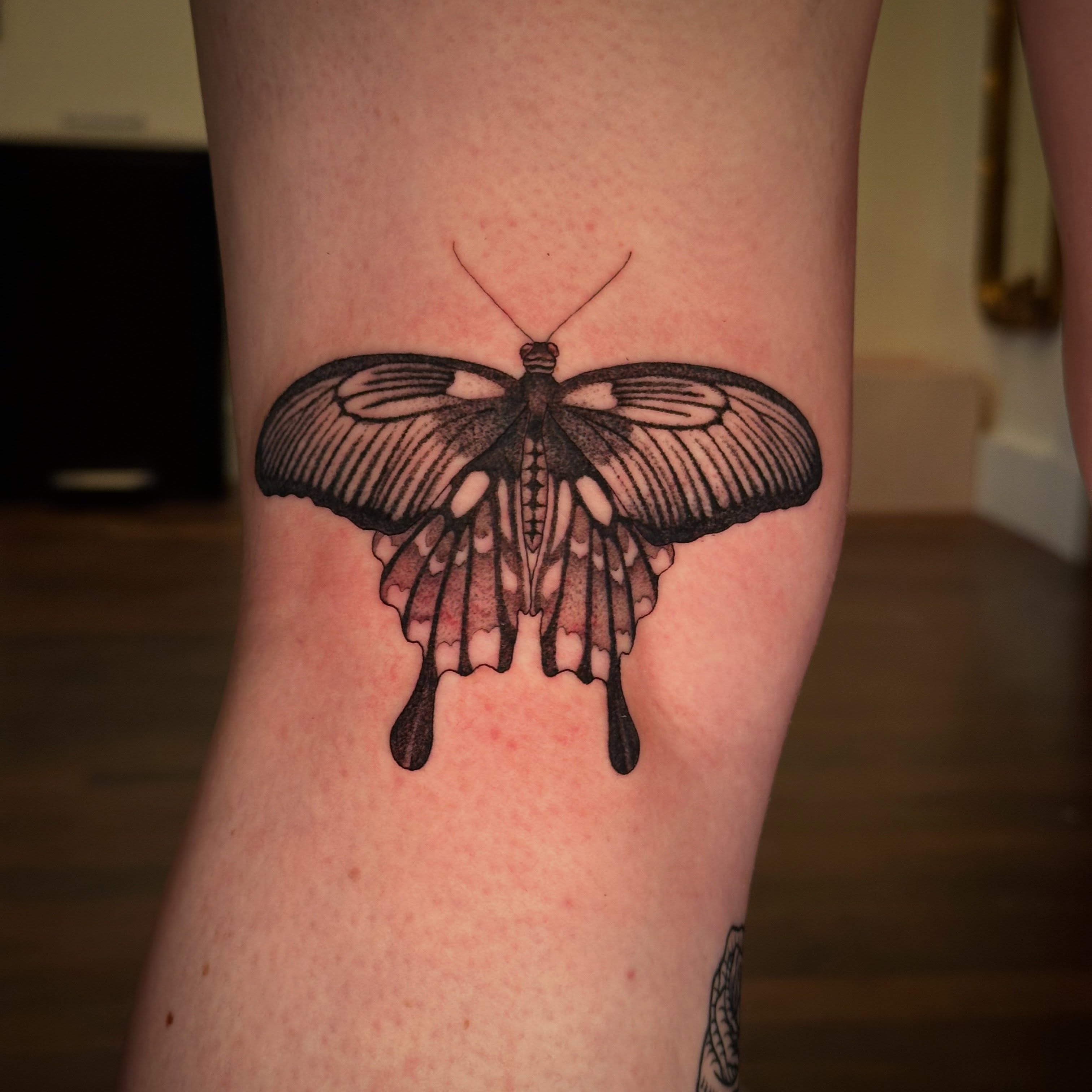 Butterfly black and grey tattoo on the forearm by Bree Lin