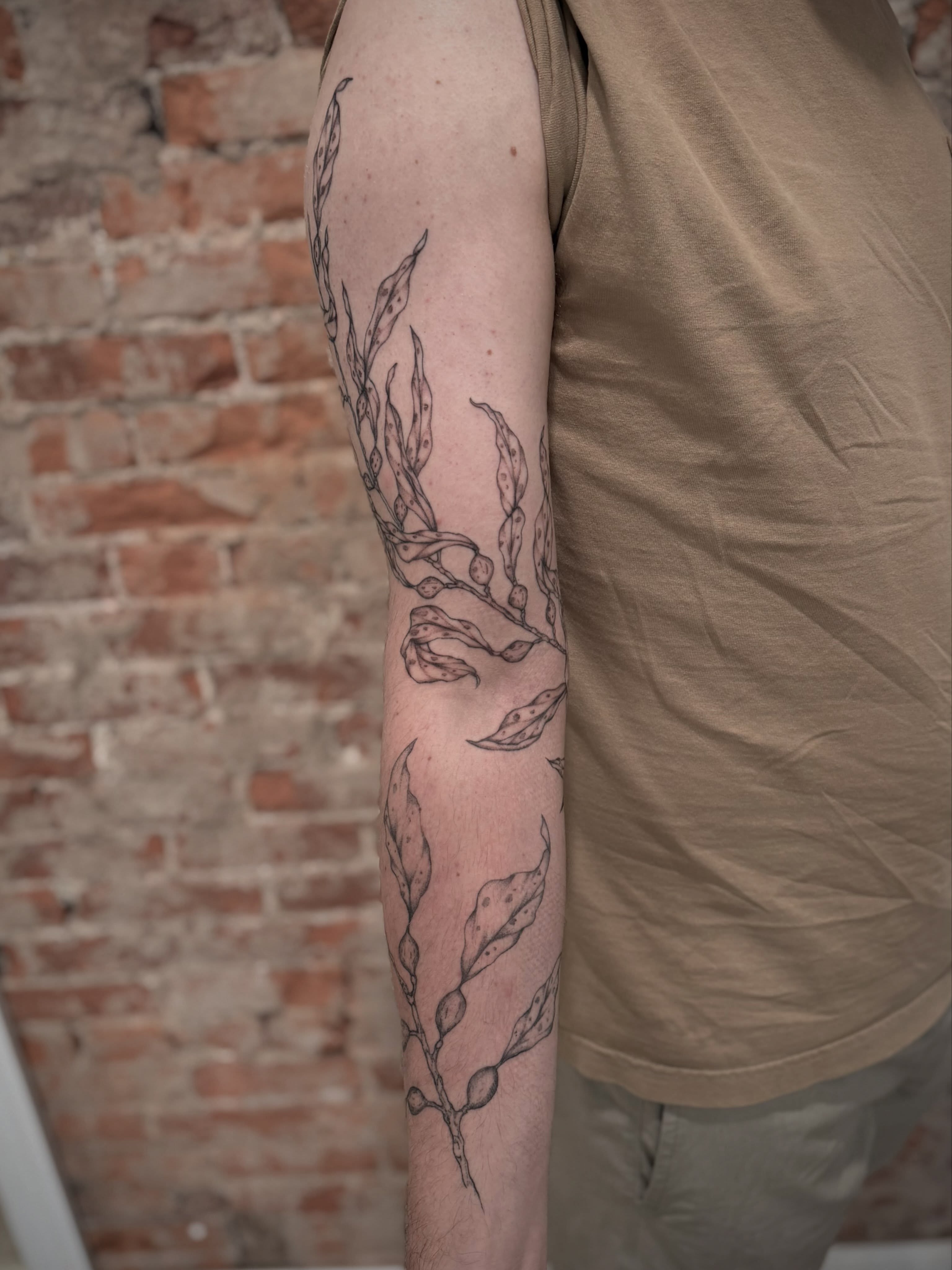 Seaweed black and grey tattoo on the forearm by Daniel Anthony, Philadelphia, Pennsylvania