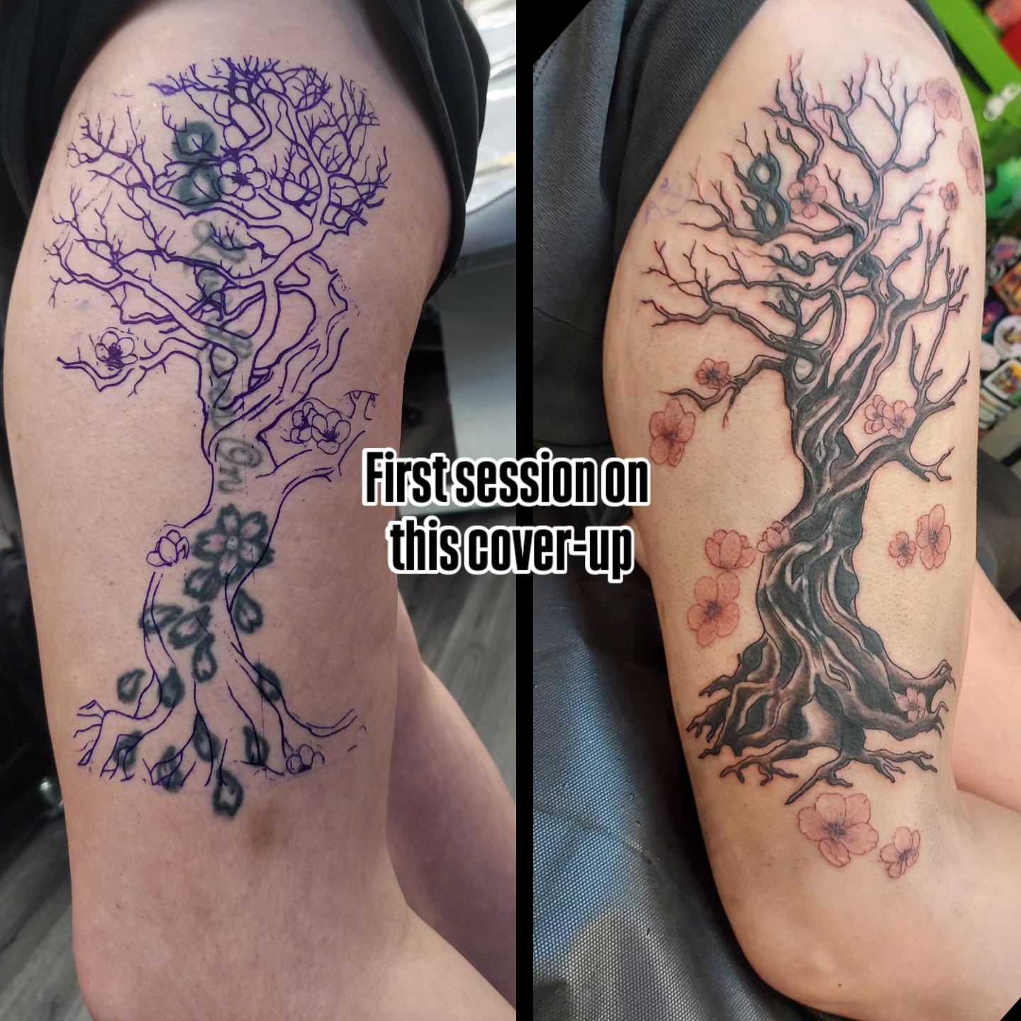 Tree with blossoms black and grey tattoo on the upper arm by Vex Ink Tattoo