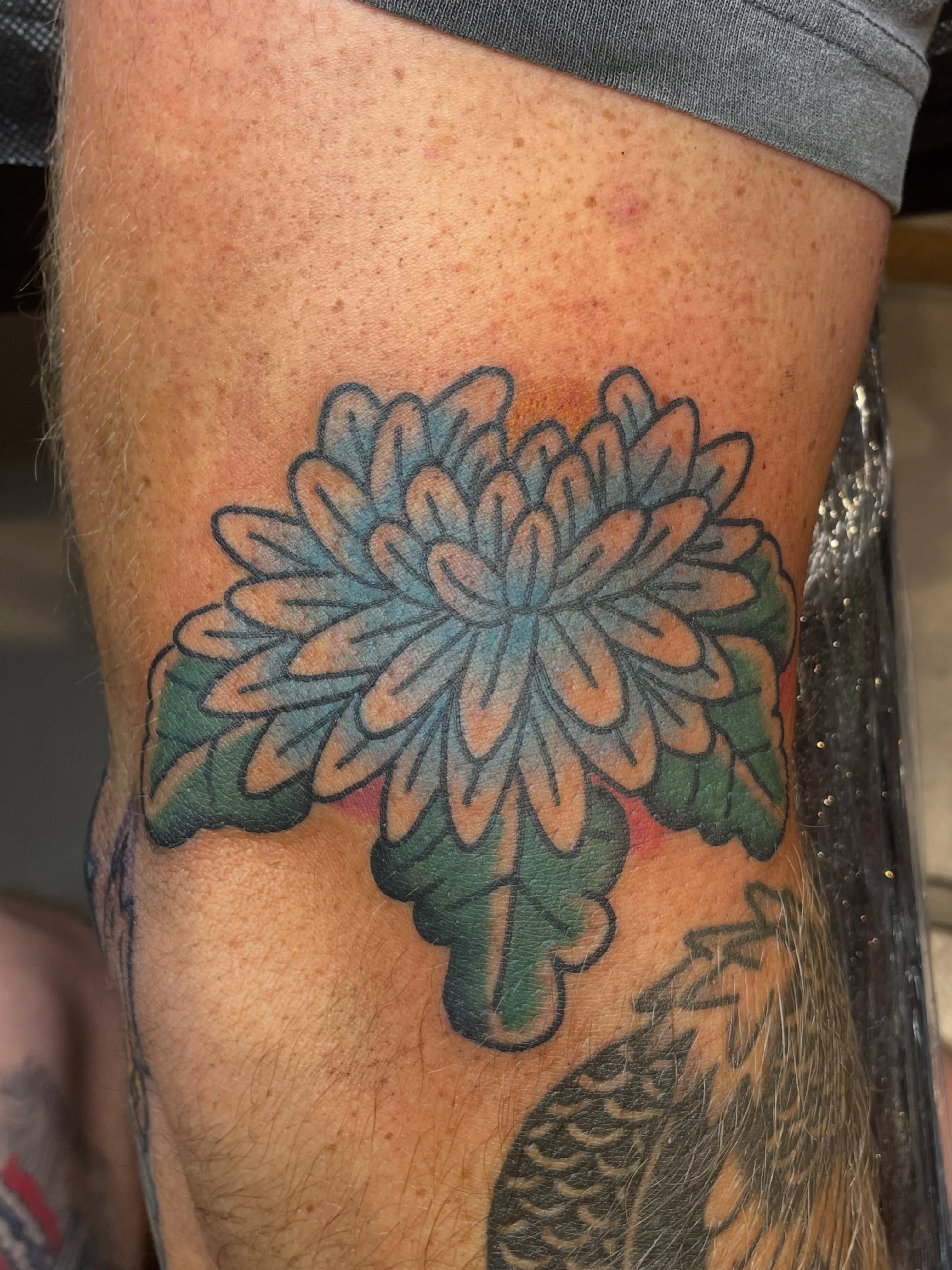 Tattoo by @mitchellwillard — american_traditional