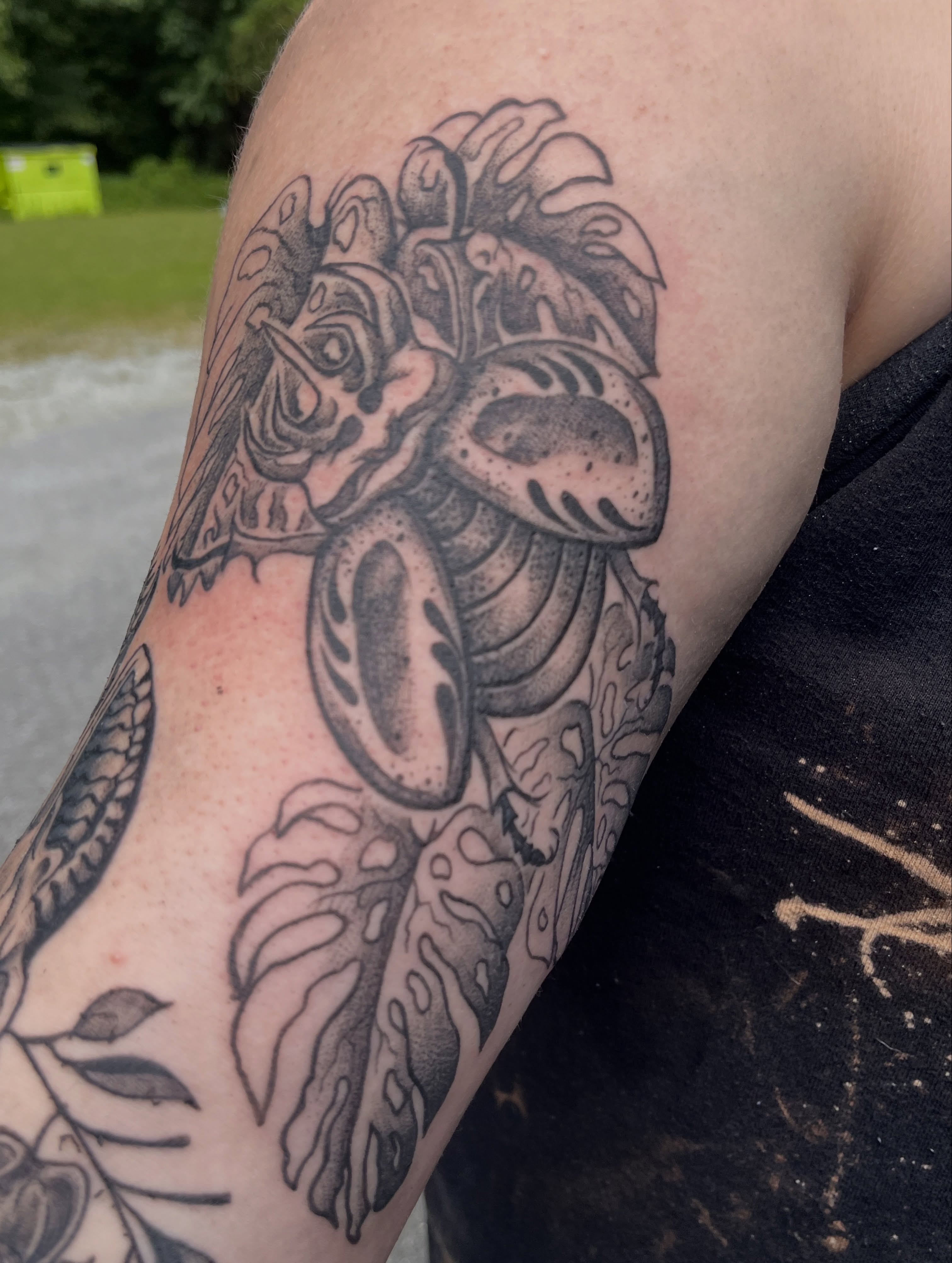 Tattoo by @anya.artistry.tattoos — dotwork, black_and_grey