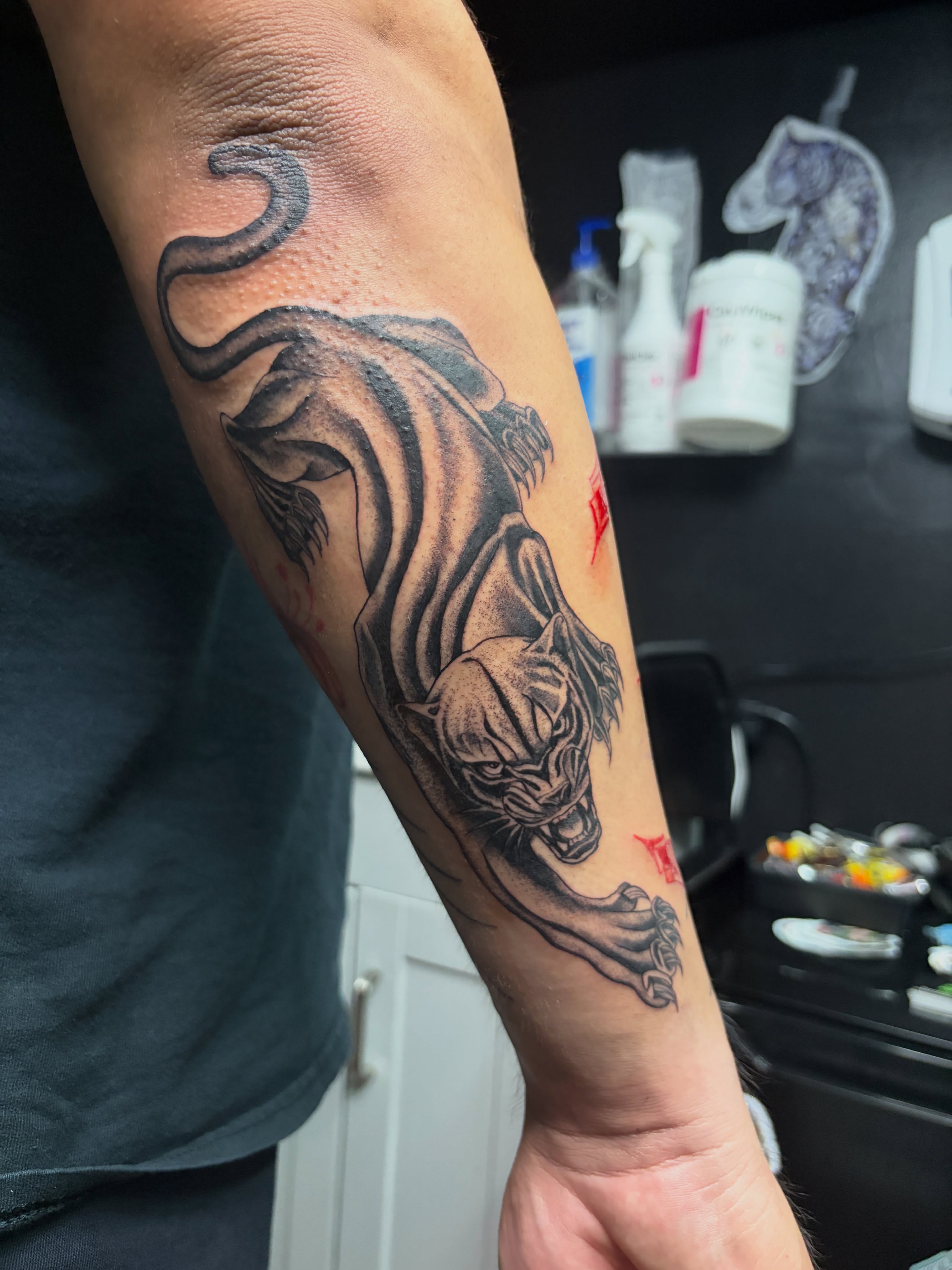 Tiger black and grey tattoo on the forearm by Destineé