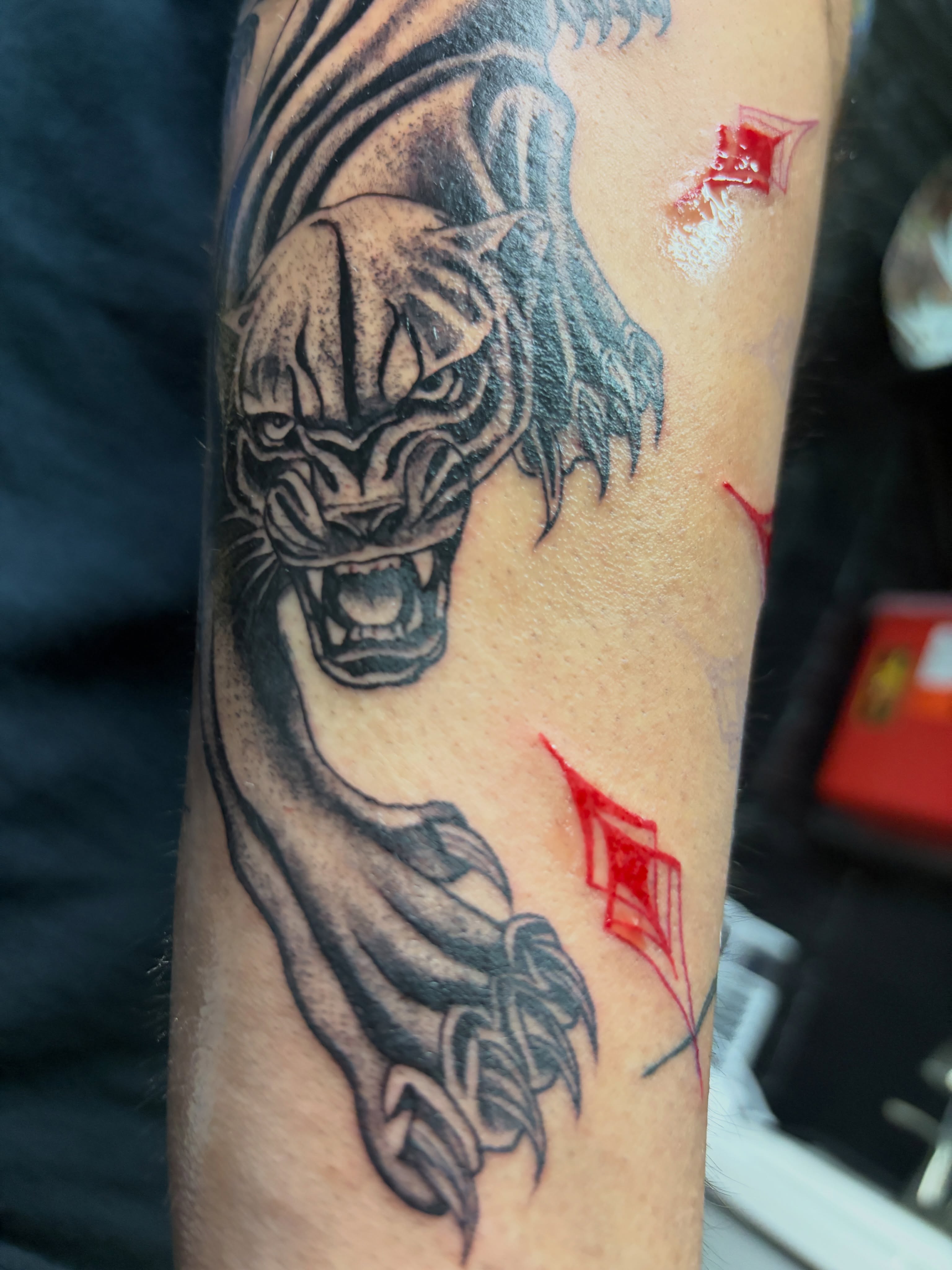 Roaring tiger black and grey tattoo on the forearm by Destineé