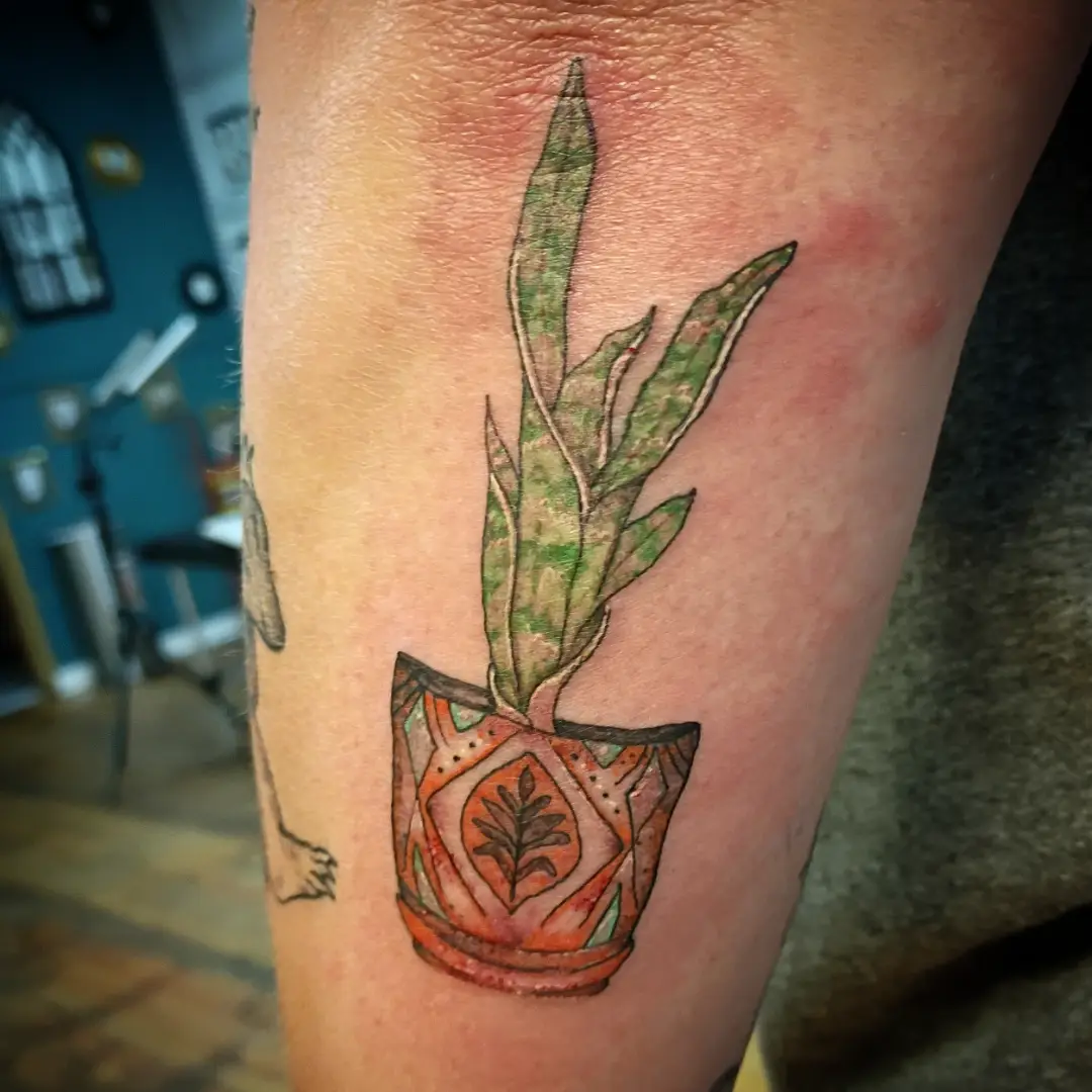 Plant in pot watercolor tattoo on the forearm by Niki Jackson