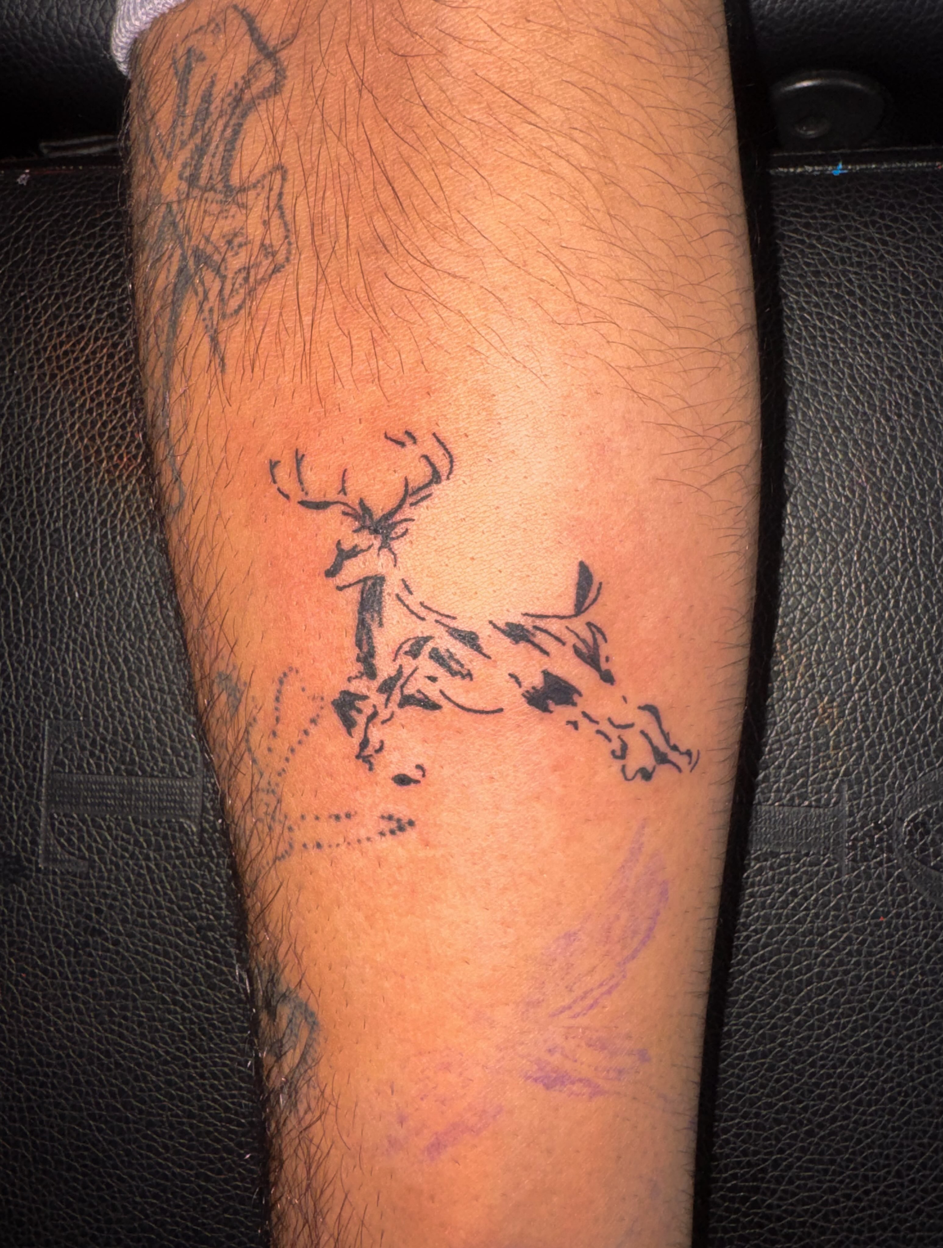 Deer black and grey tattoo on the forearm by Comet