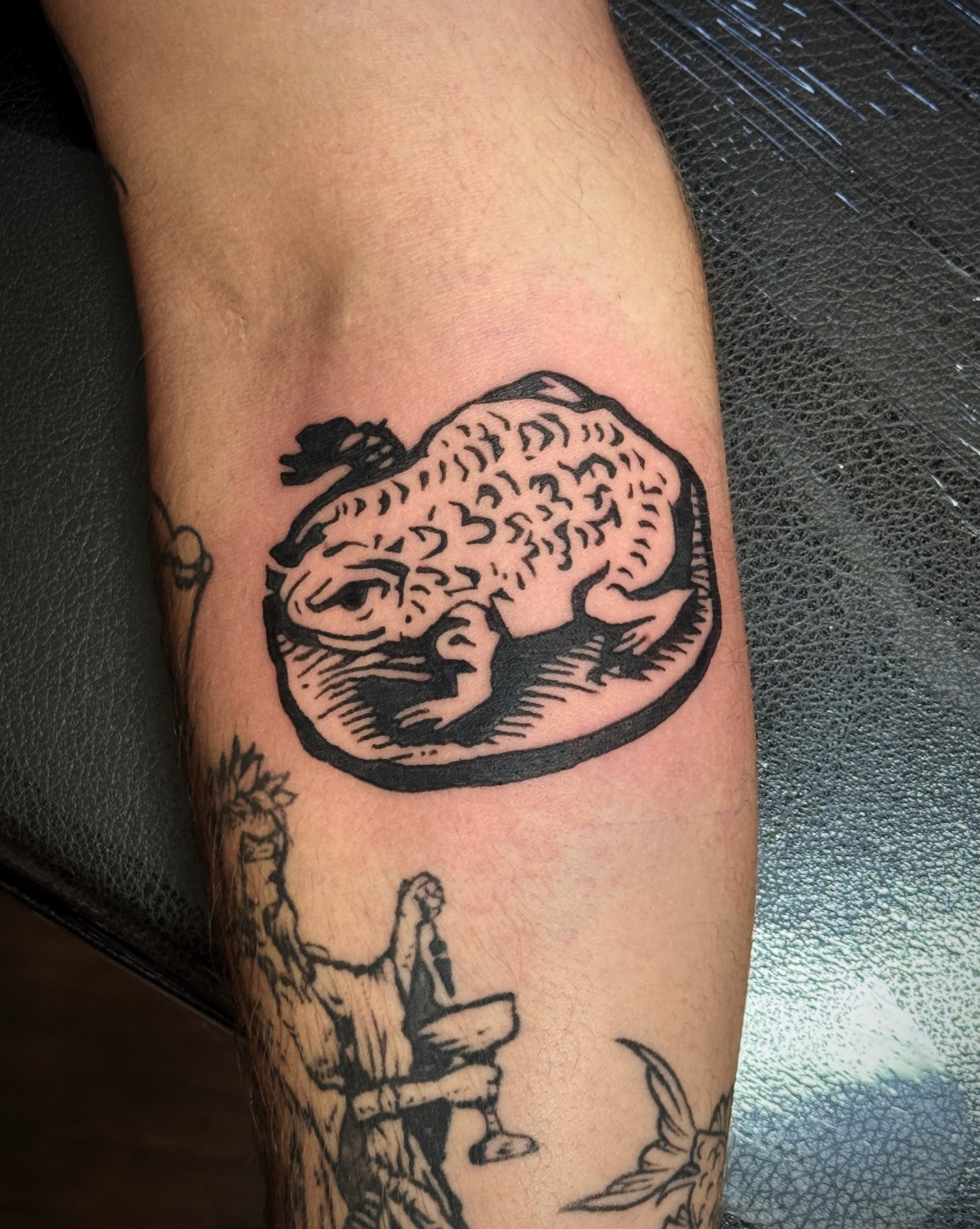Toad black and grey tattoo on the forearm by Luna Enriquez⚡️, Portland, Oregon