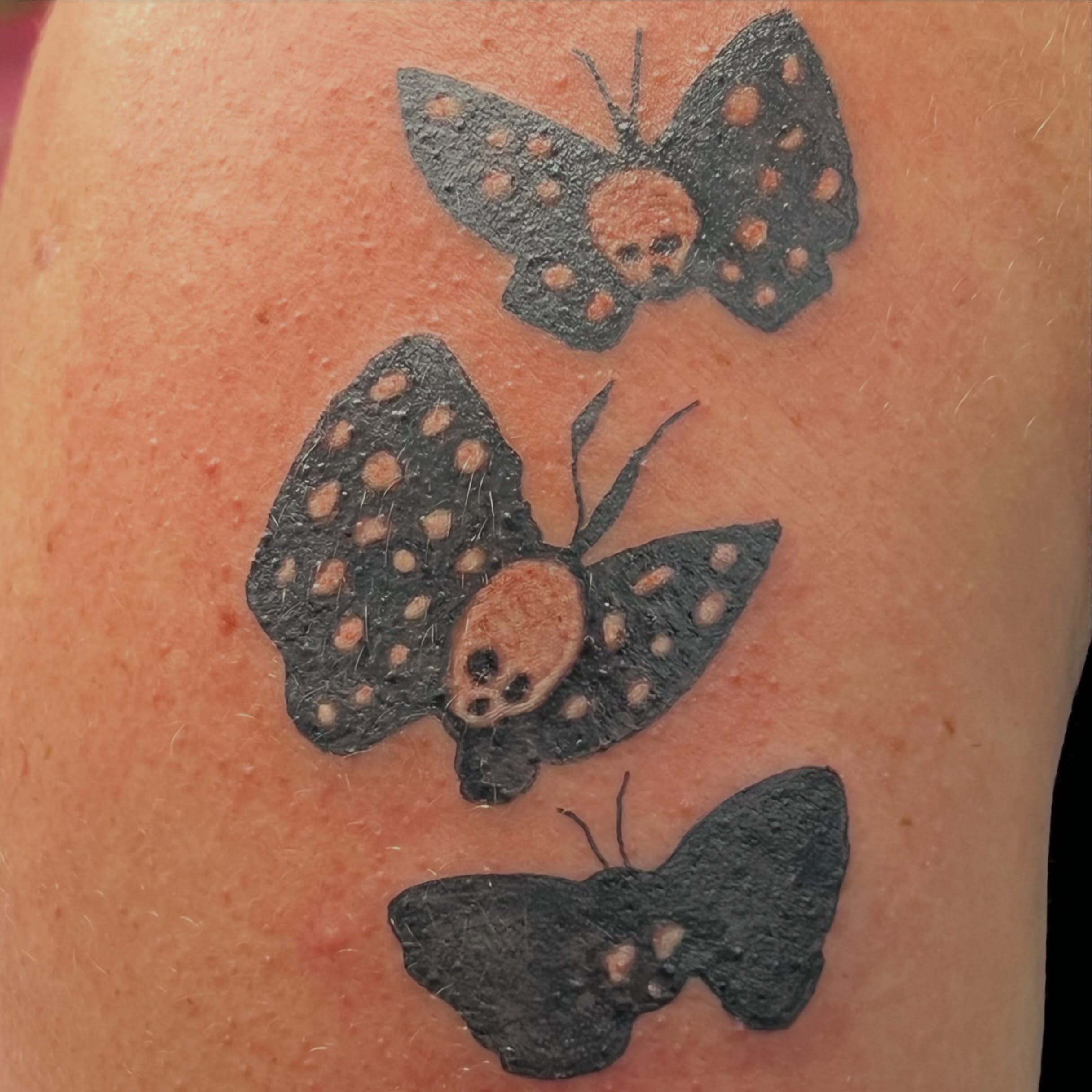 Butterfly dotwork tattoo on the upper arm by Tomfoolery