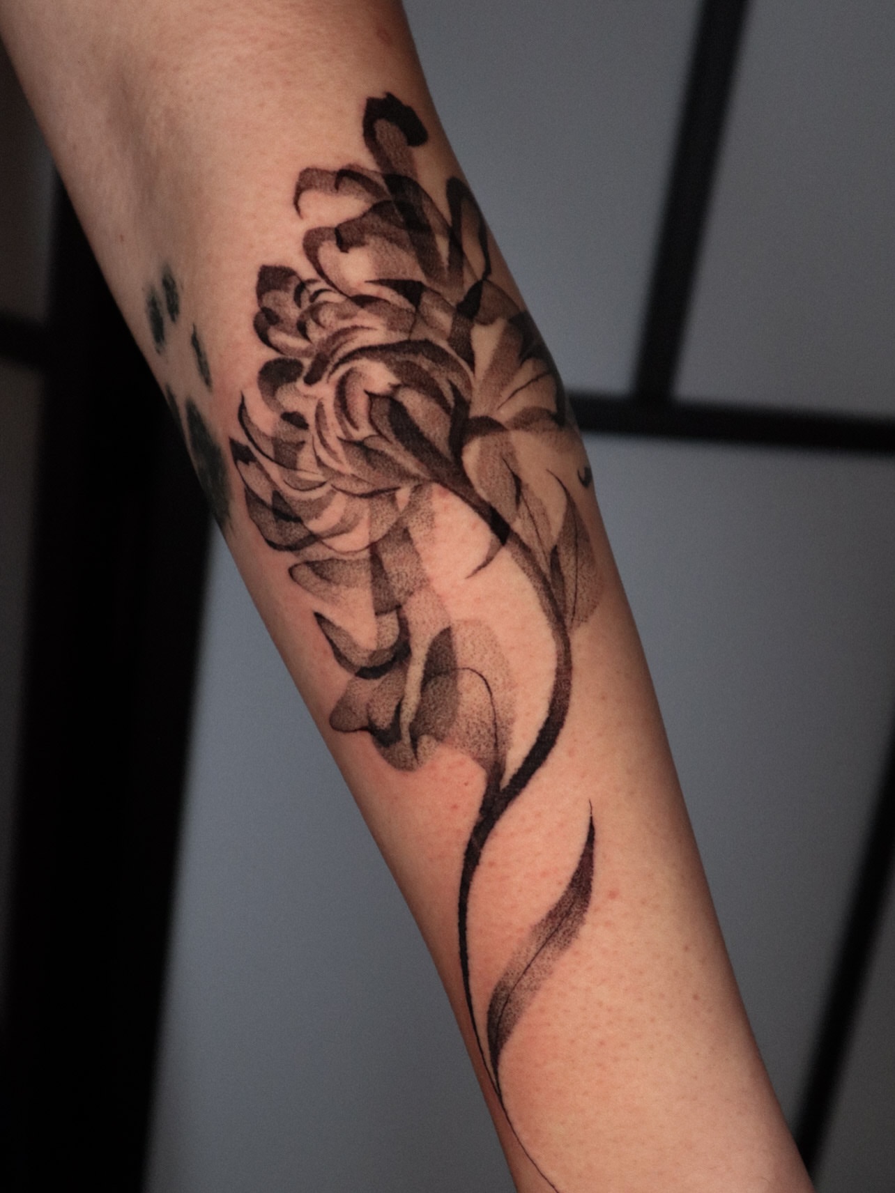 Flower dotwork tattoo on the forearm by 𝕮𝖔𝖓𝖓𝖔𝖗 ☾  ~ TATTOO ARTIST