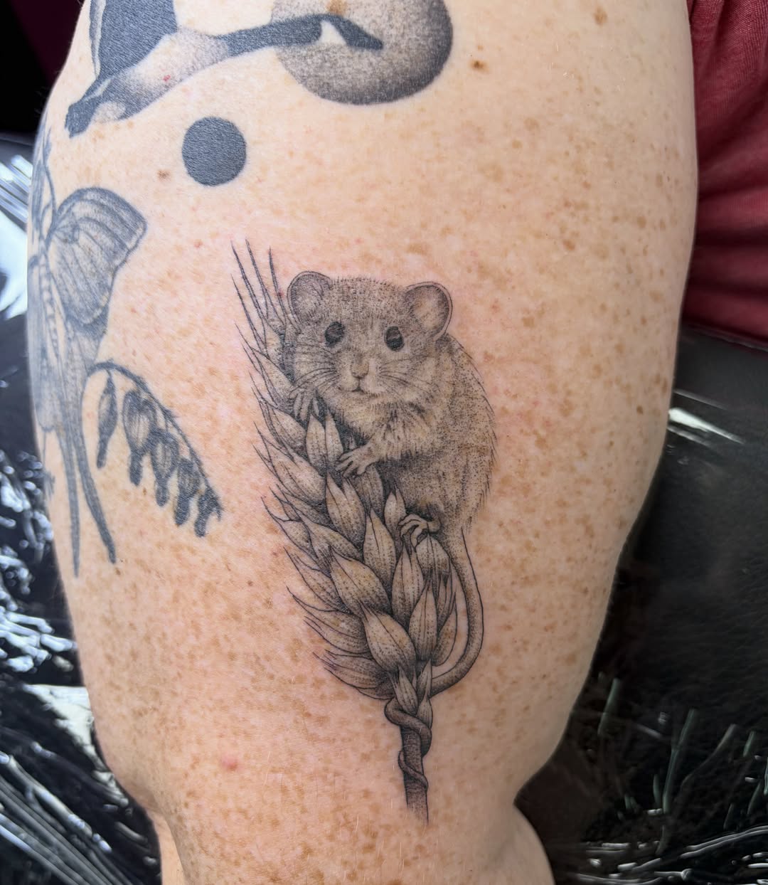Mouse and wheat realism tattoo on the forearm by Kelli Donegan ๐ท