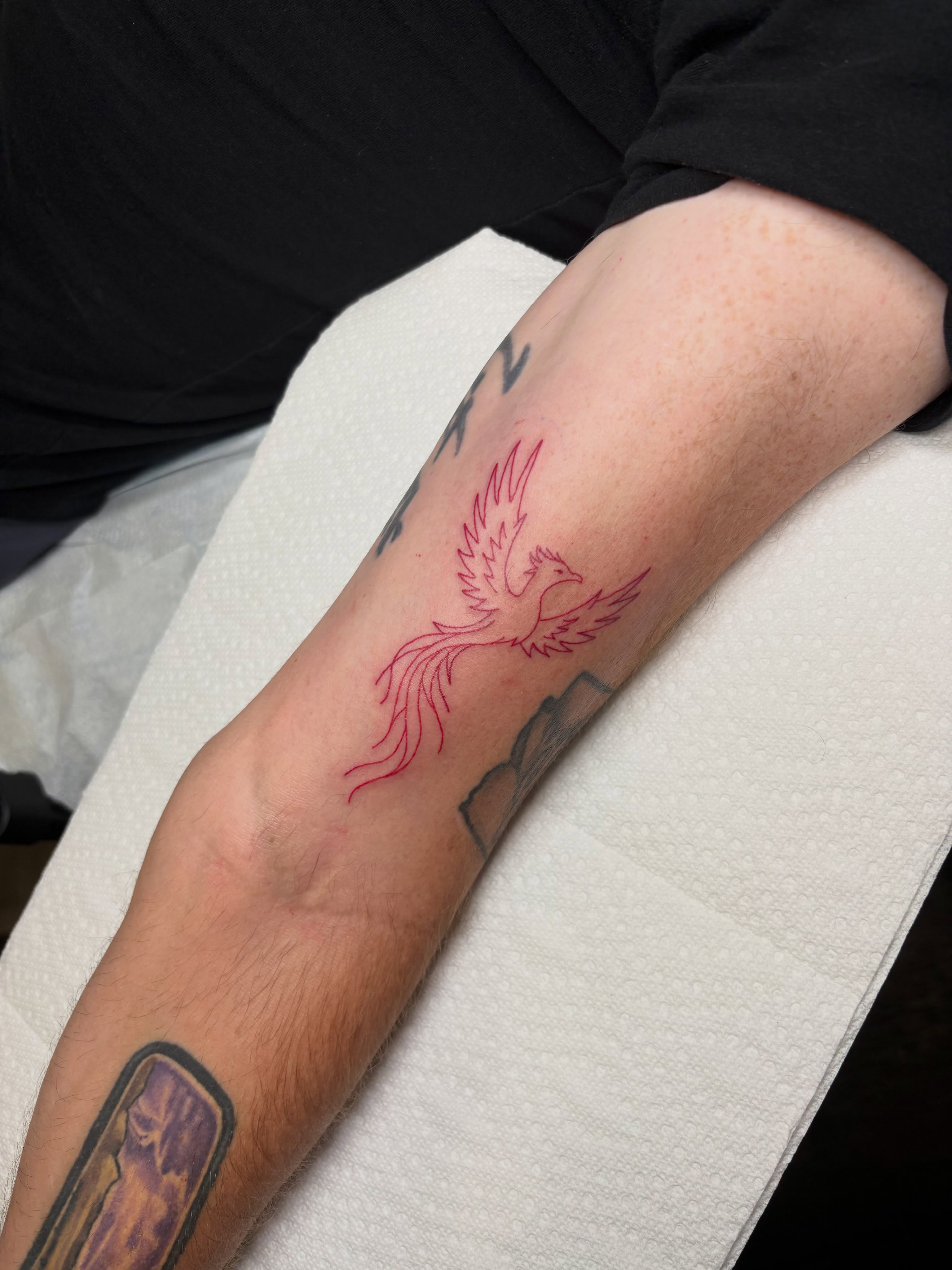 Phoenix fine line tattoo on the forearm by ππ‘ππ―π² πππ₯π₯ππ²