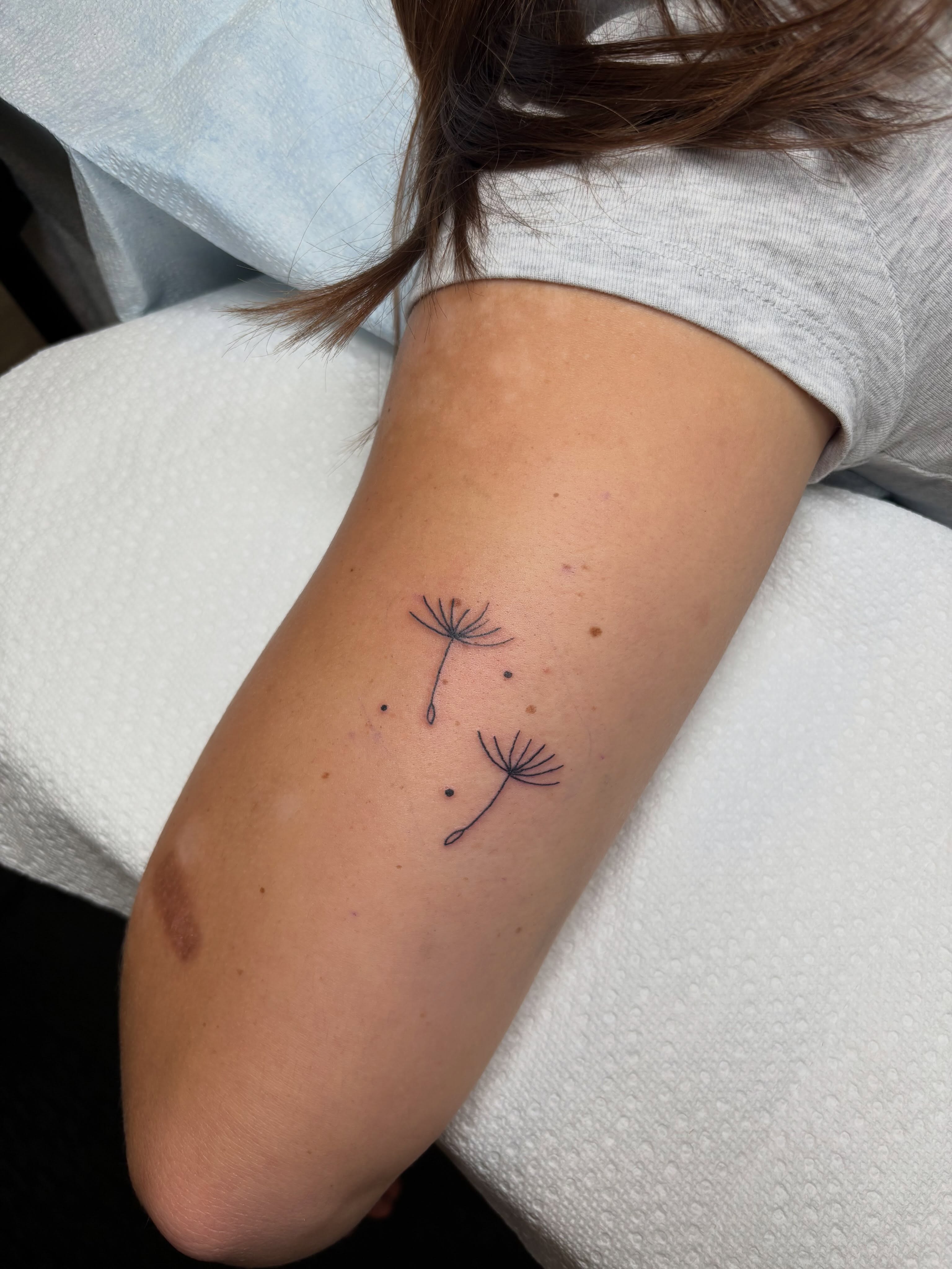 Dandelion seeds dotwork tattoo on the forearm by ππ‘ππ―π² πππ₯π₯ππ²