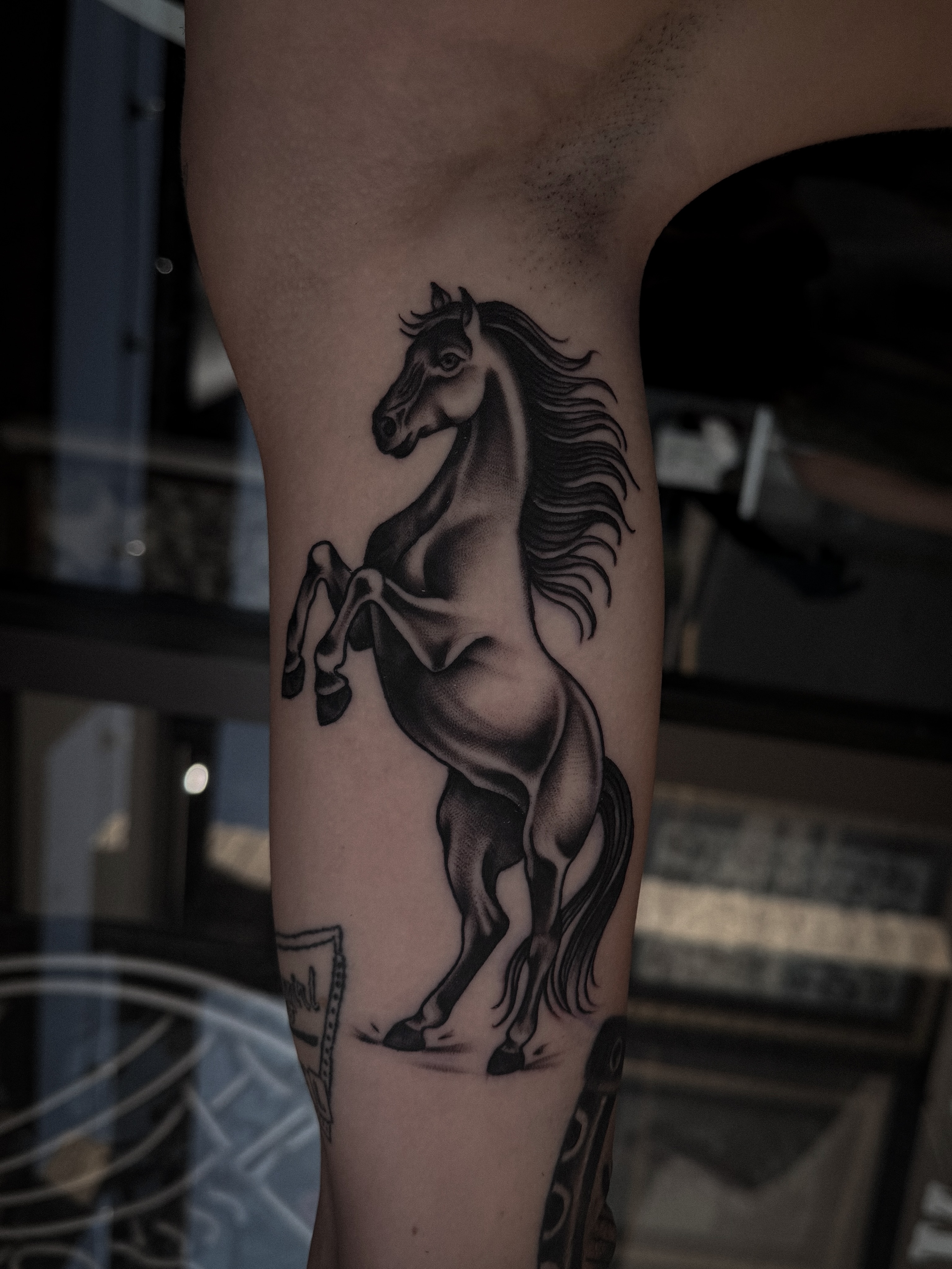 Tattoo by @sydneybulmer.tattoos — black_and_grey