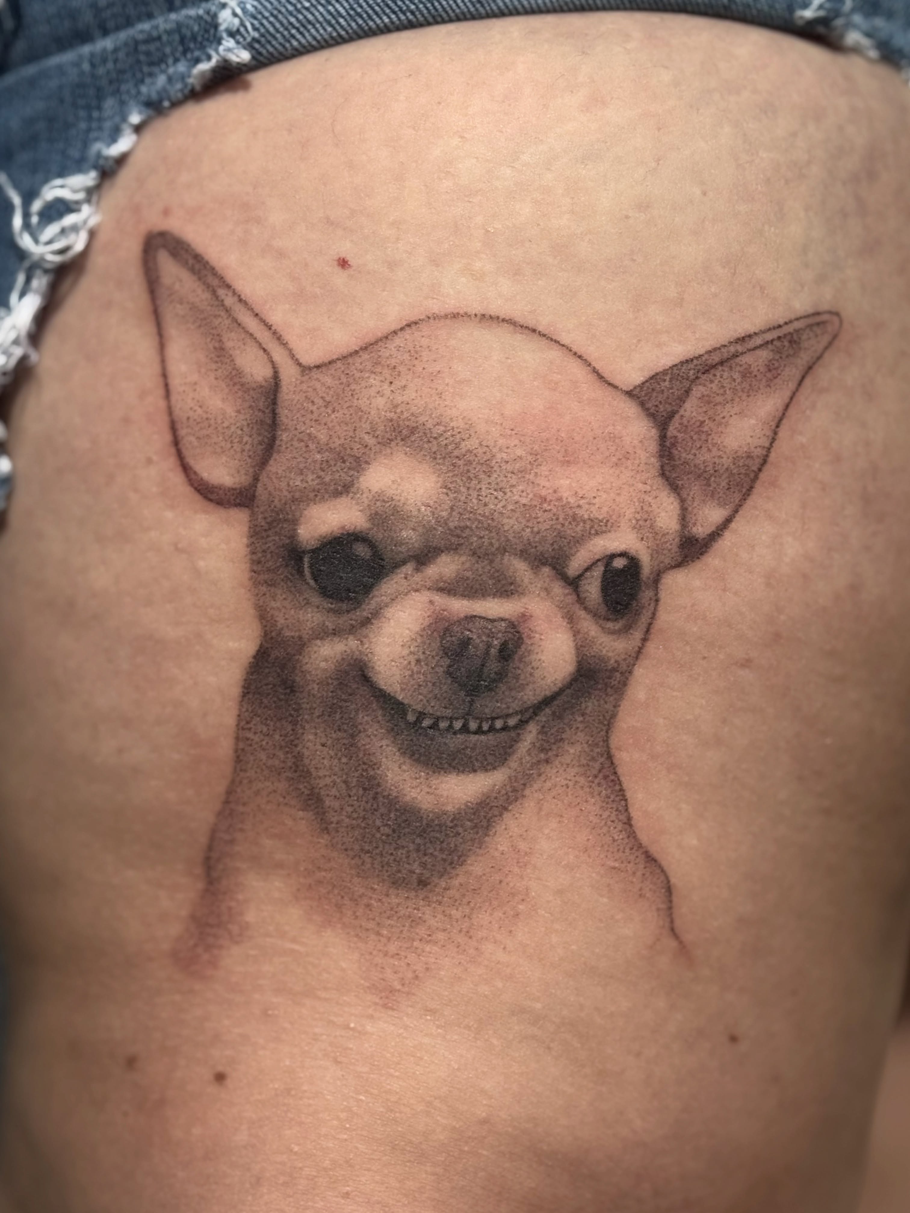 Chihuahua dotwork tattoo on the thigh by Leti